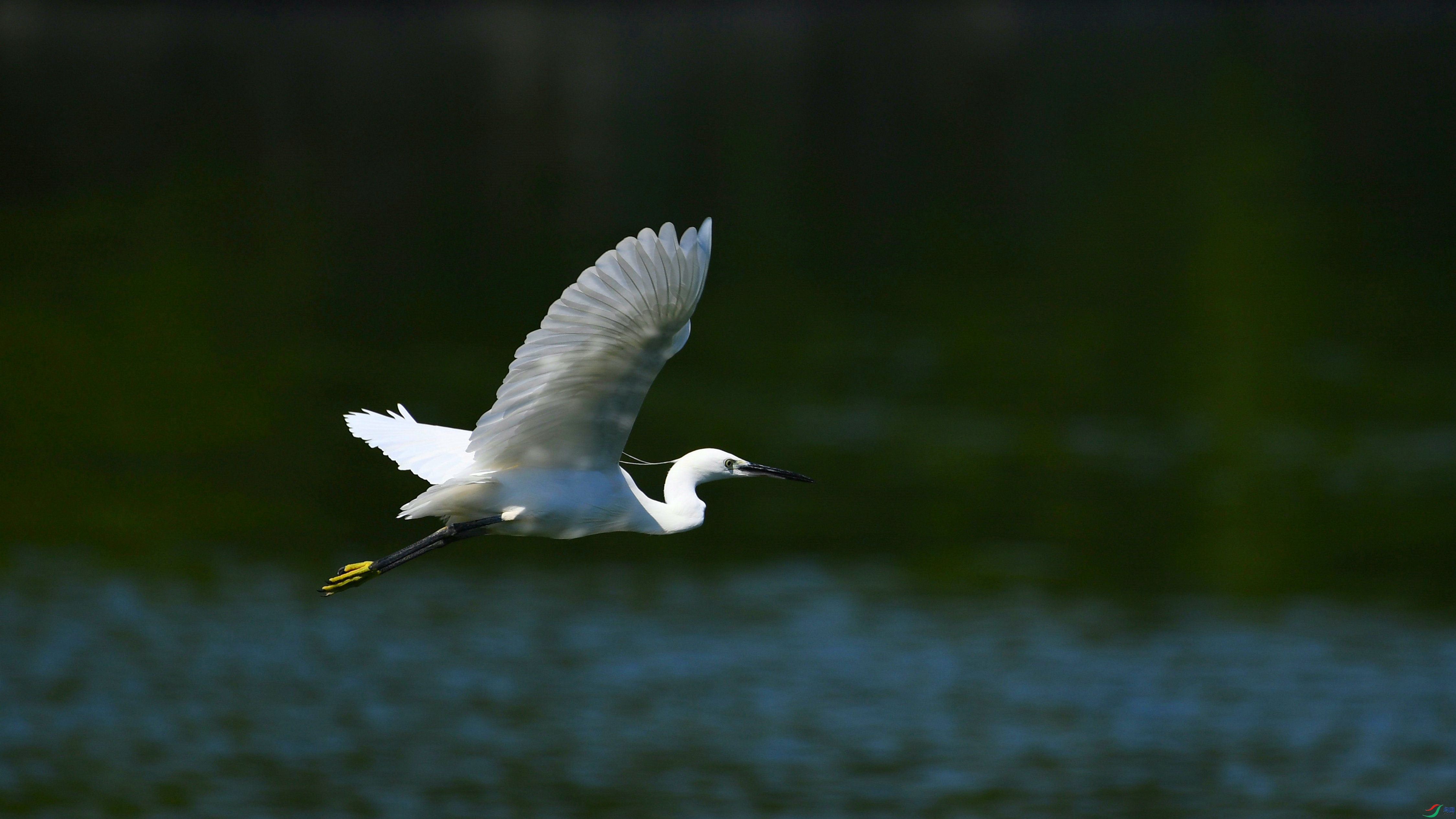 DSC_7134.JPG