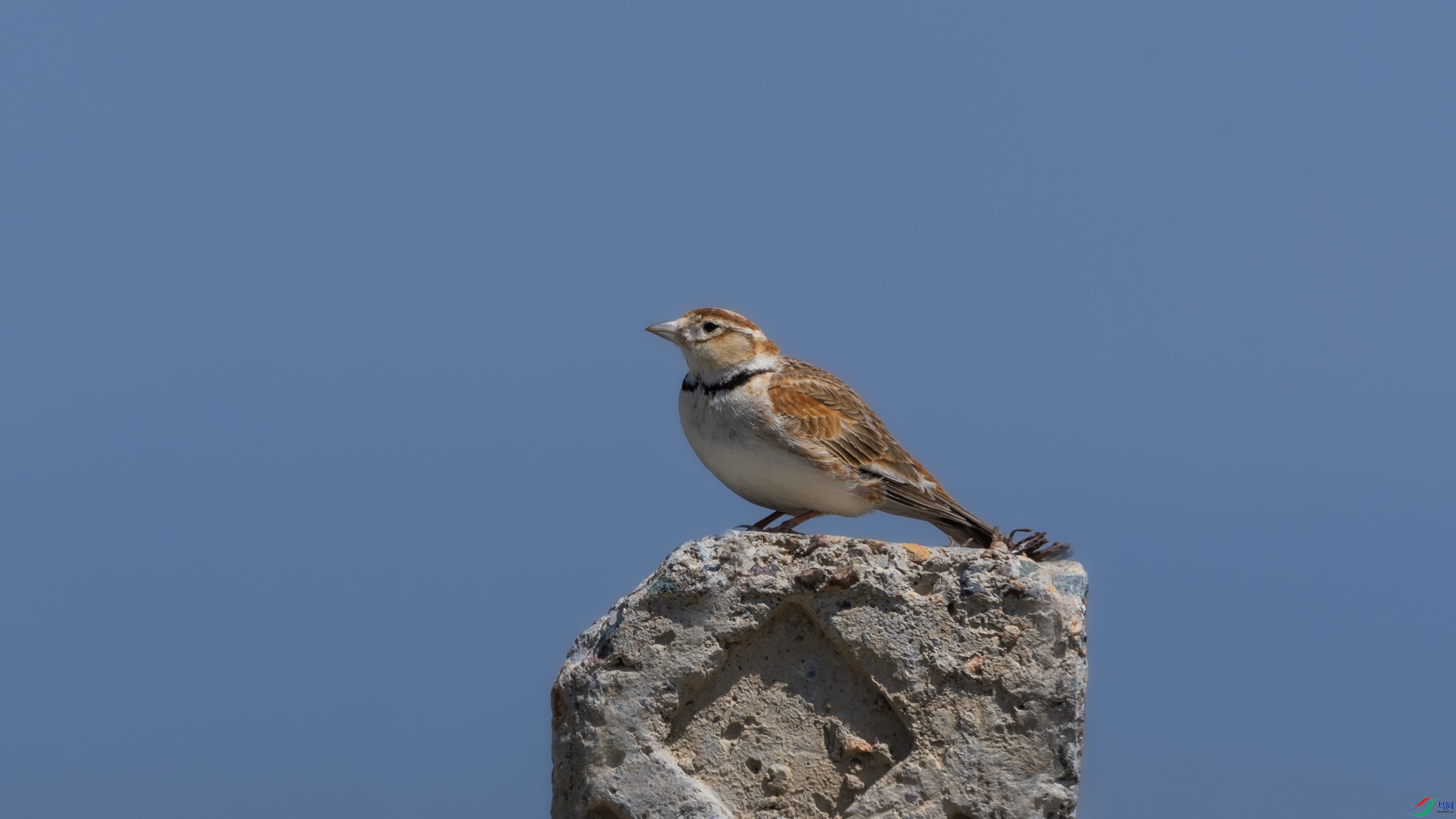 _O7A4398 ��444.jpg