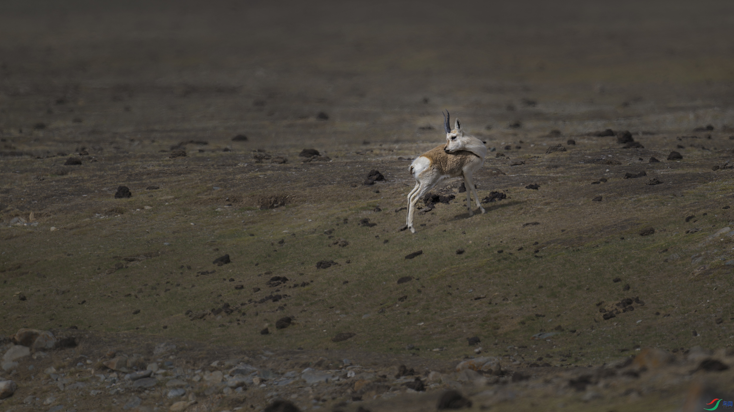 DSC_3779_DxO.jpg