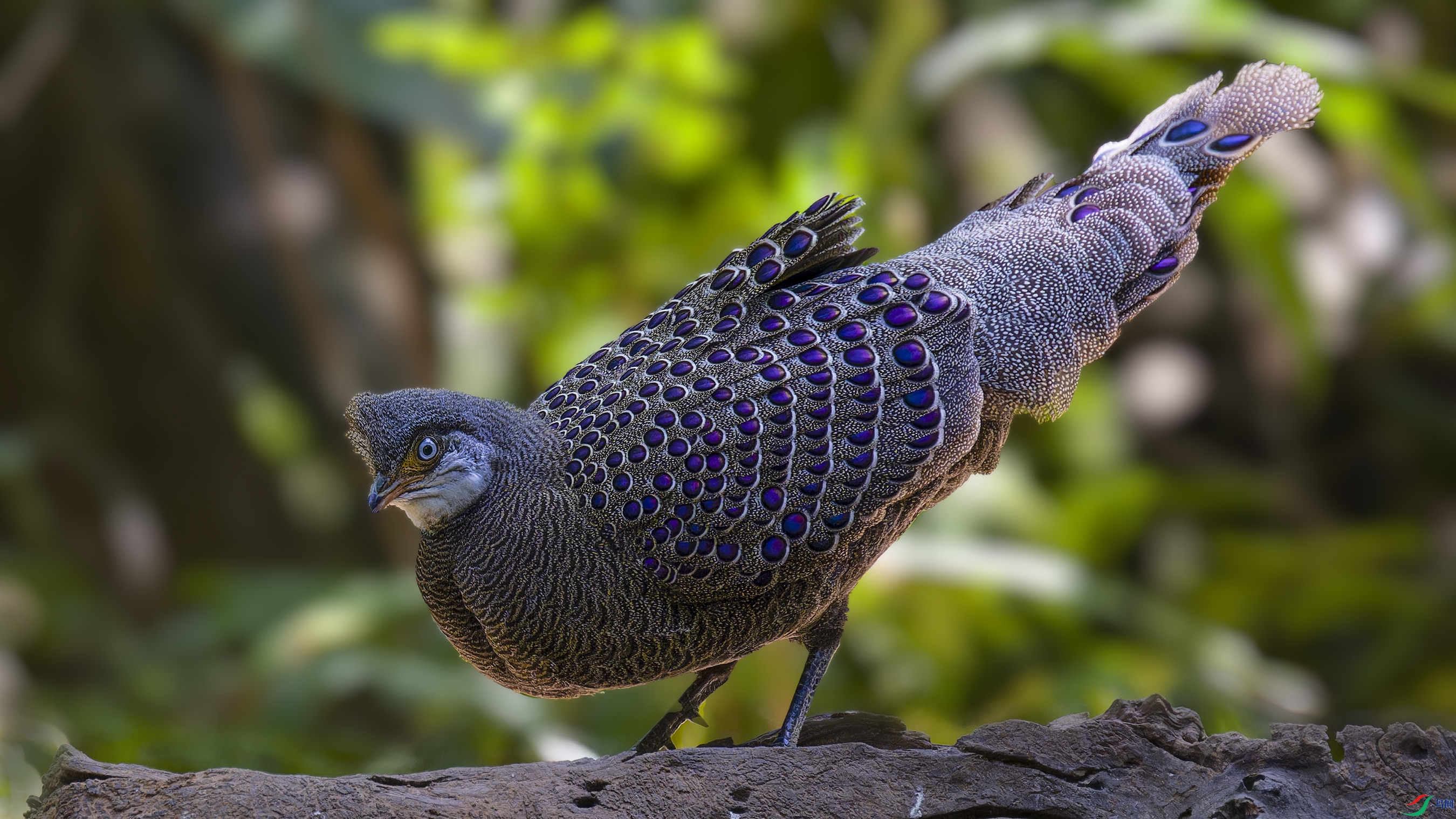 DSC_0160_DxO.jpg