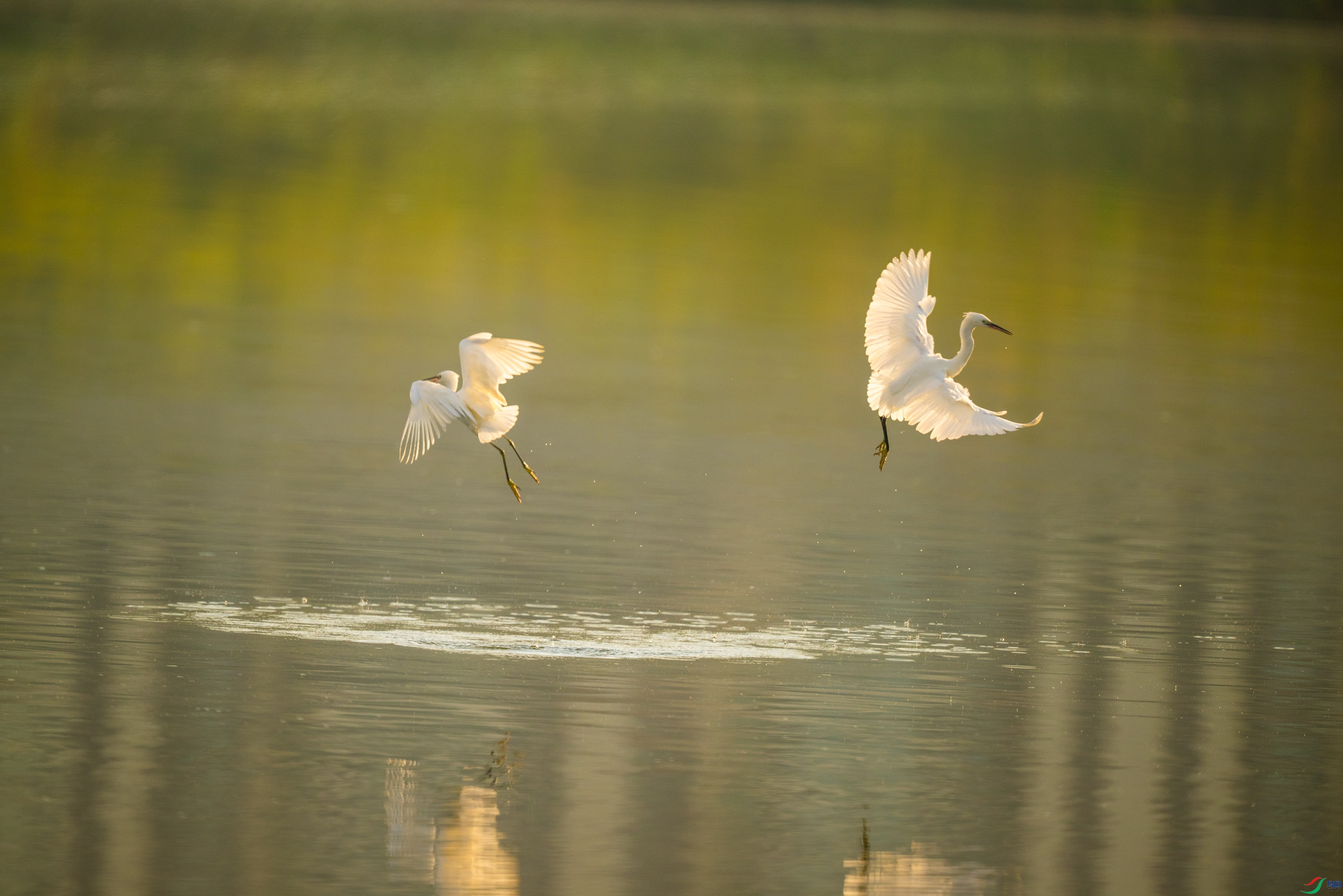 DSC_5499.jpg