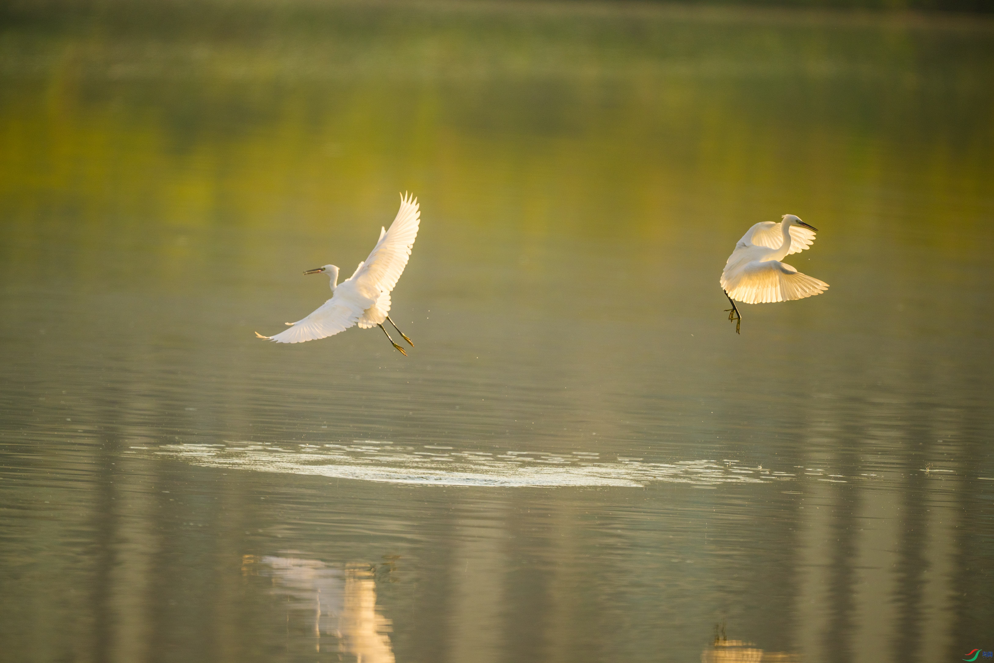 DSC_5500.jpg