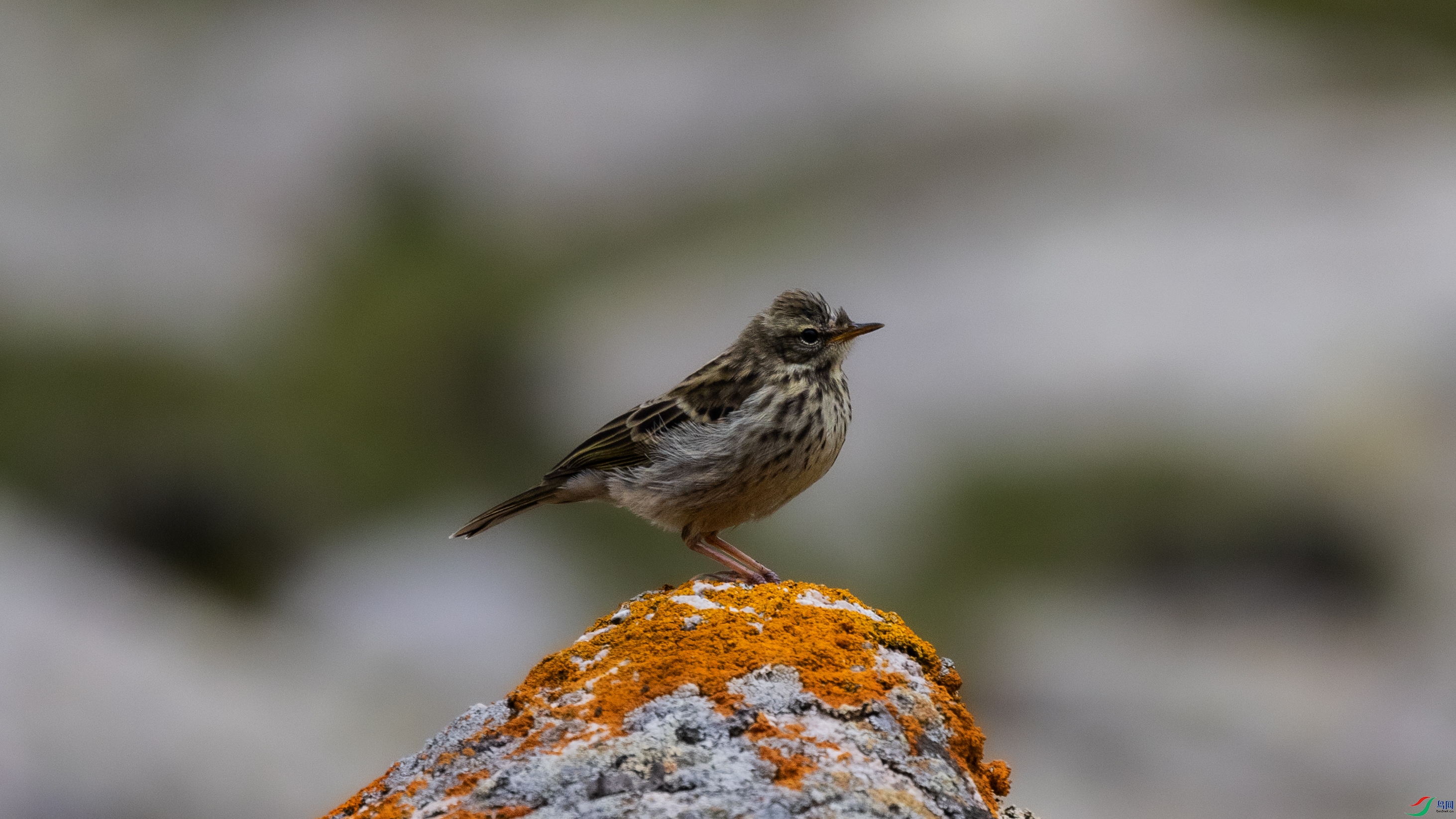 381A0329 ����.jpg