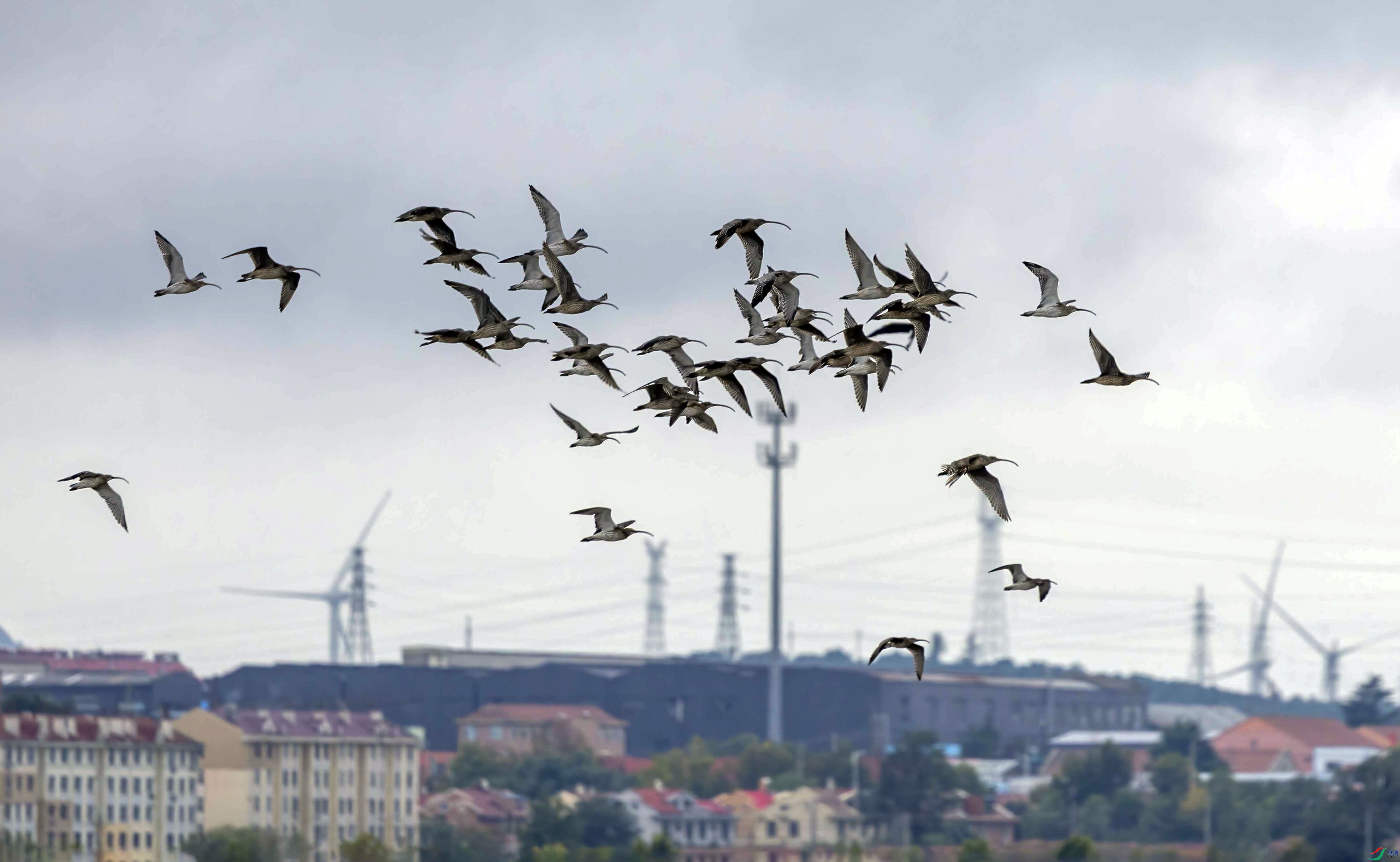 018A1690.jpg