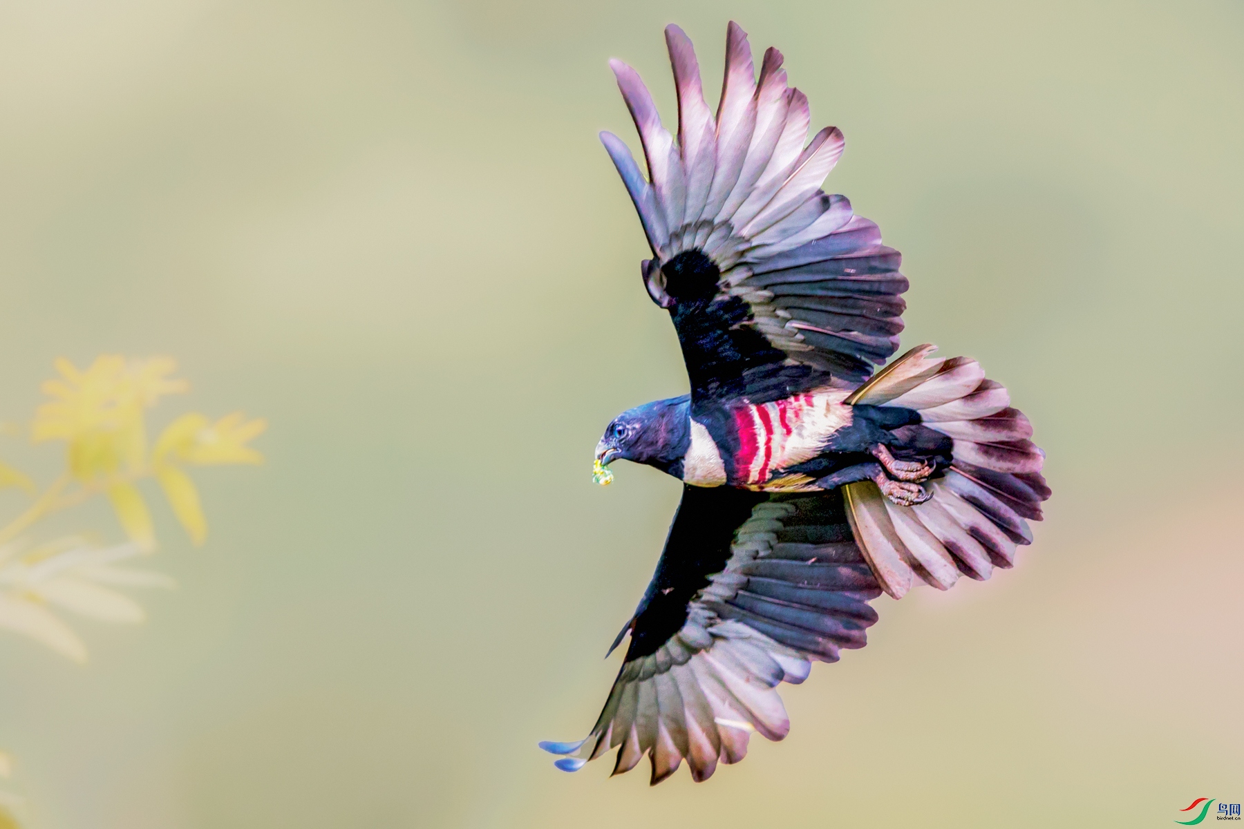 �ڹھ���----��ϵ������