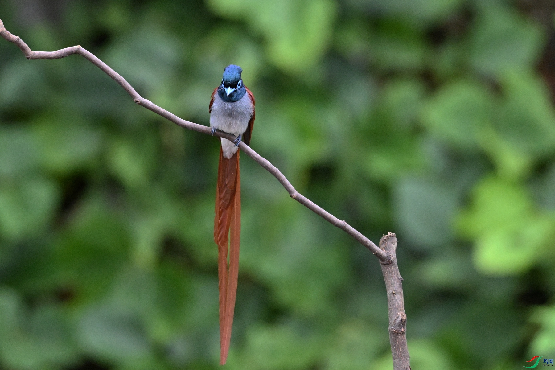 DSC_6586.JPG