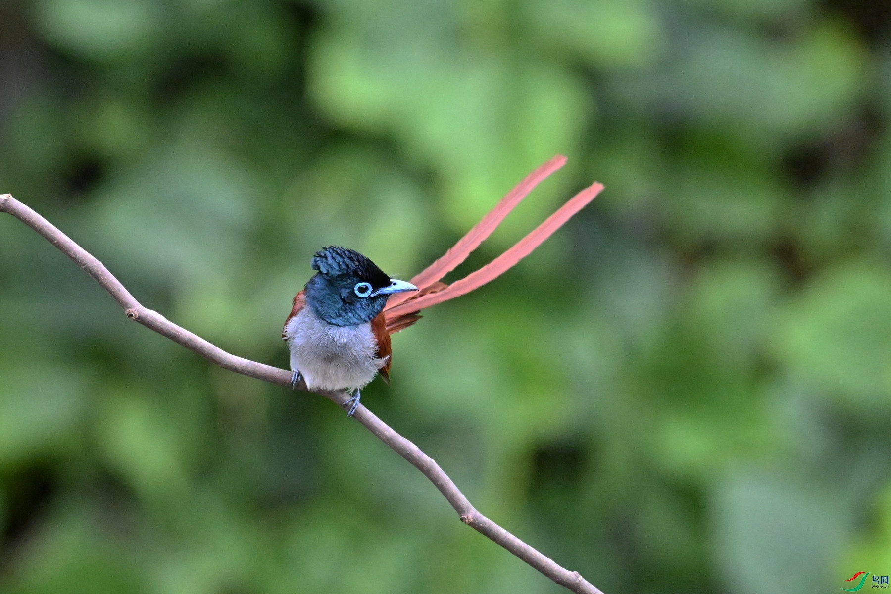 DSC_6593.JPG