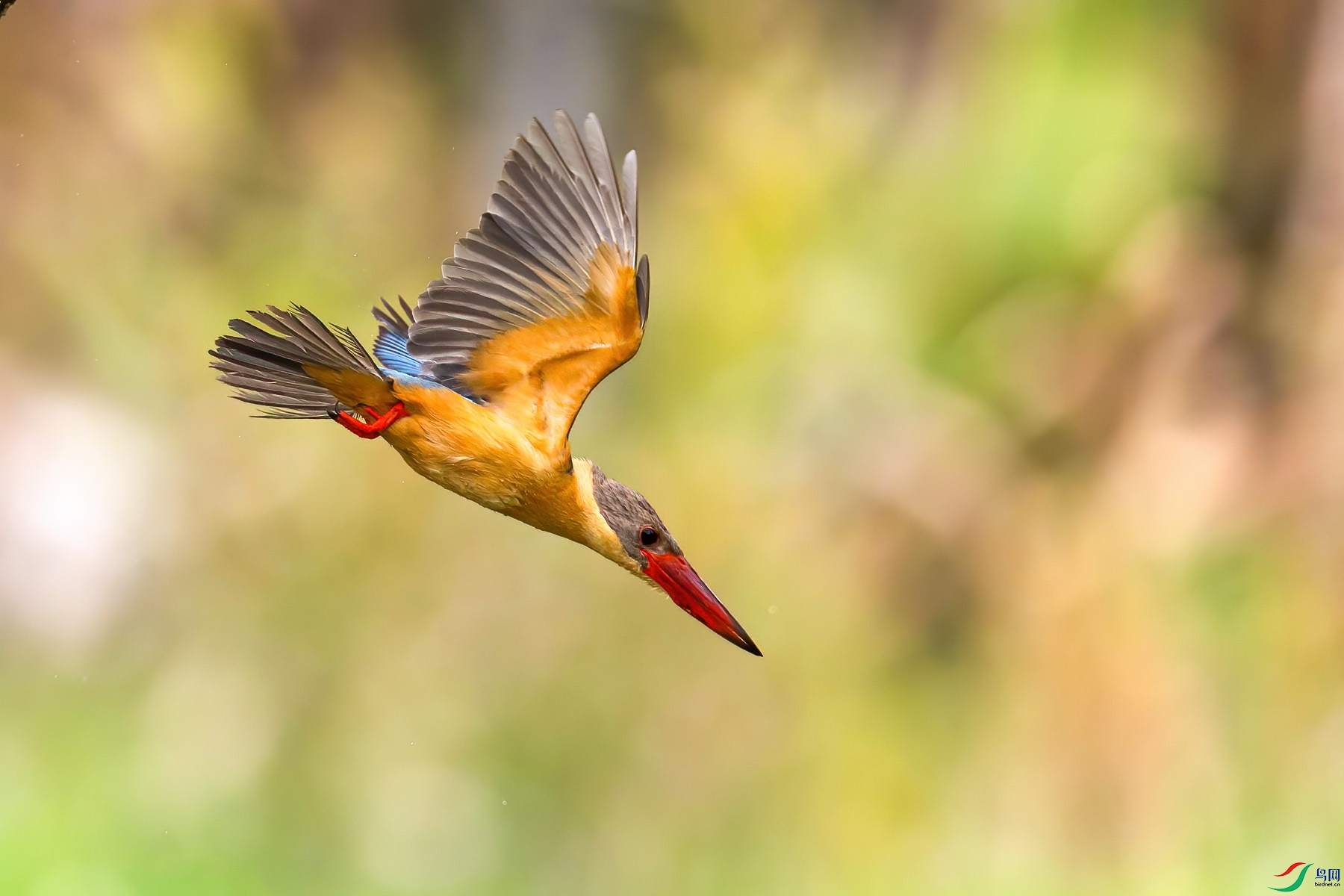 �������