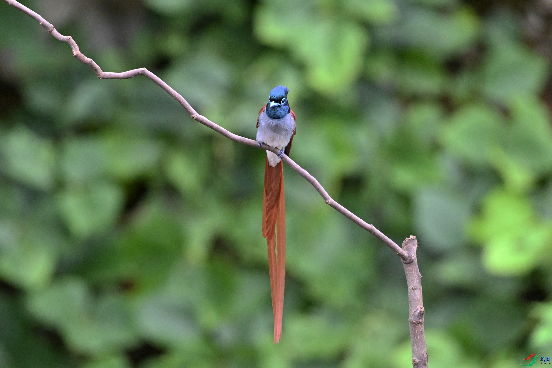 DSC_6590.JPG