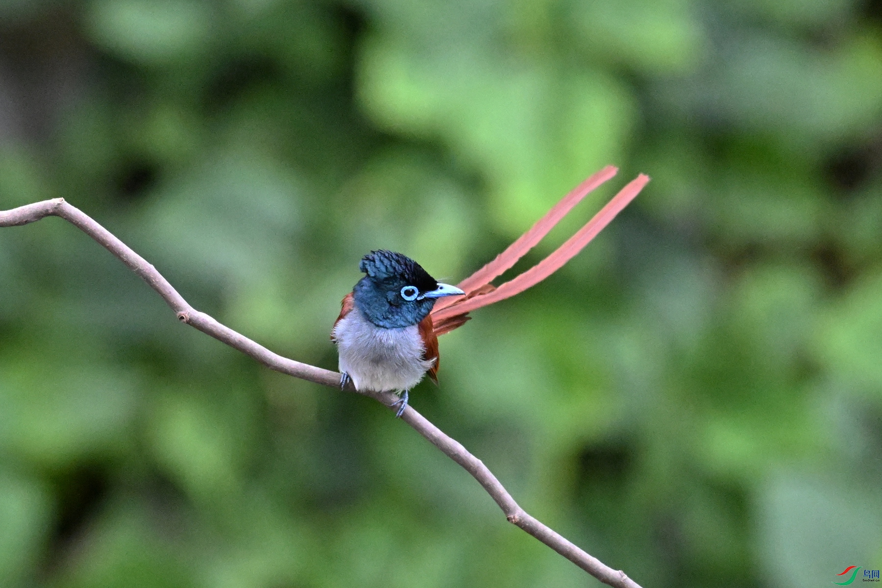 DSC_6592.JPG