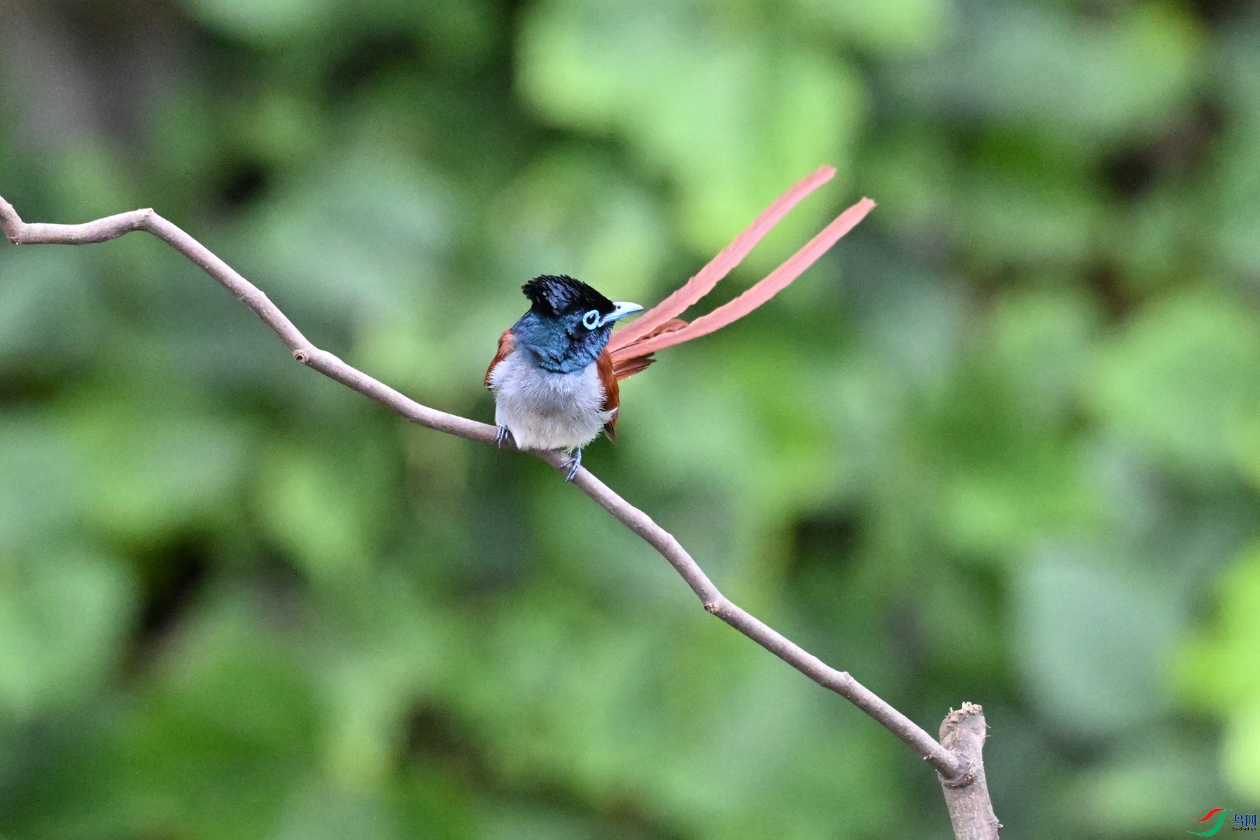 DSC_6594.JPG