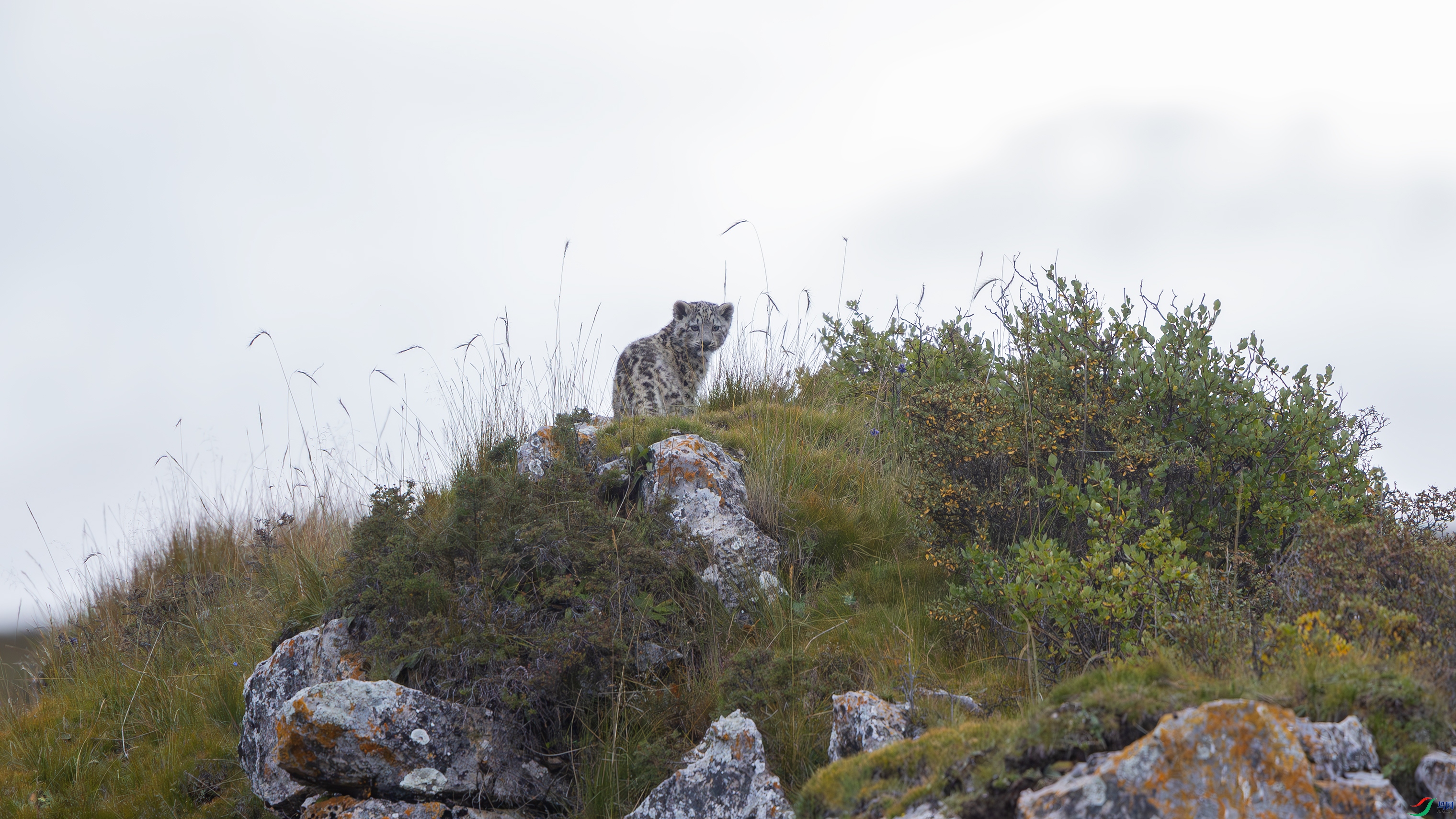 _O7A4864--NR ����4444.jpg