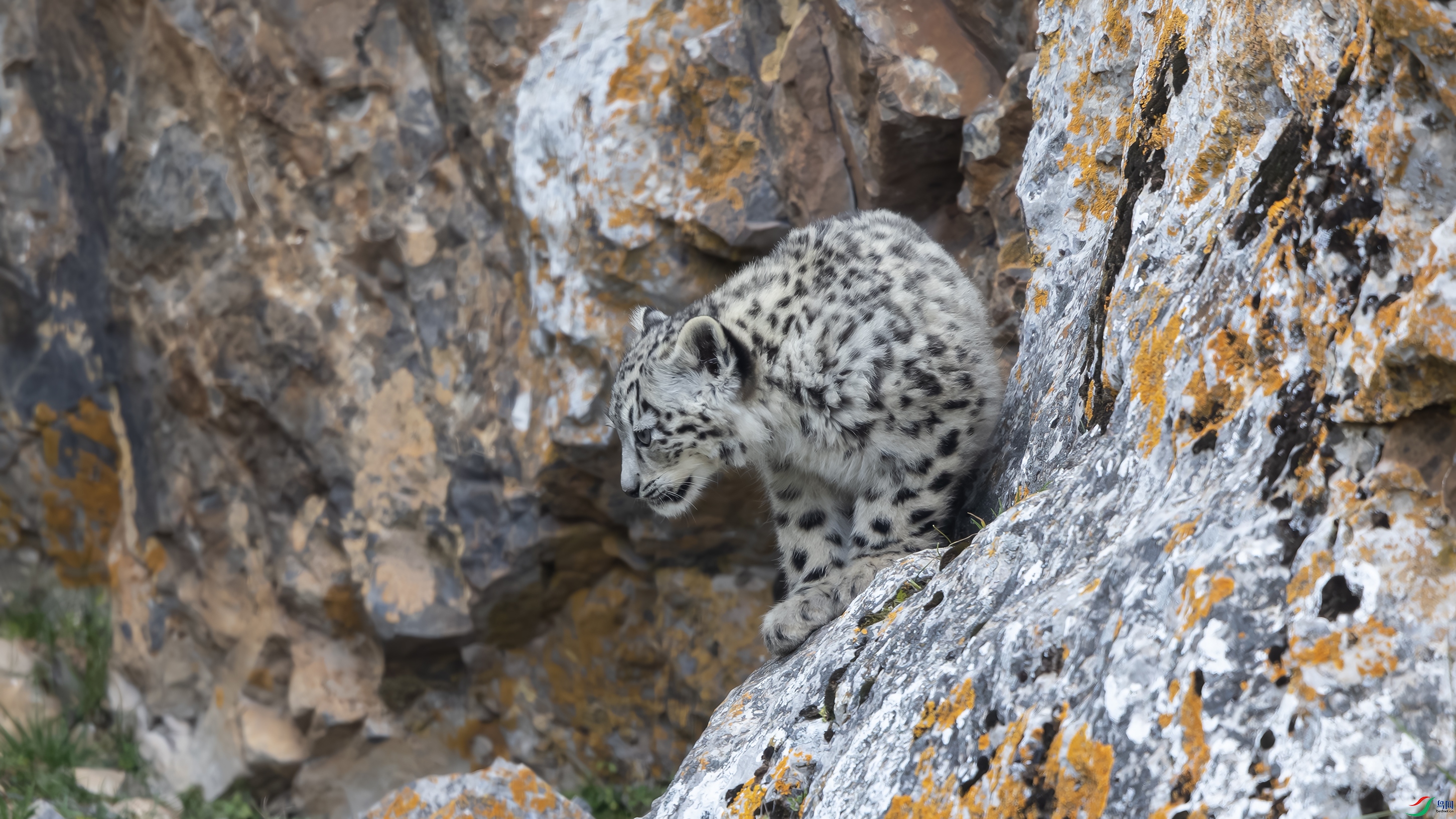 _O7A6708-NR 4444.jpg