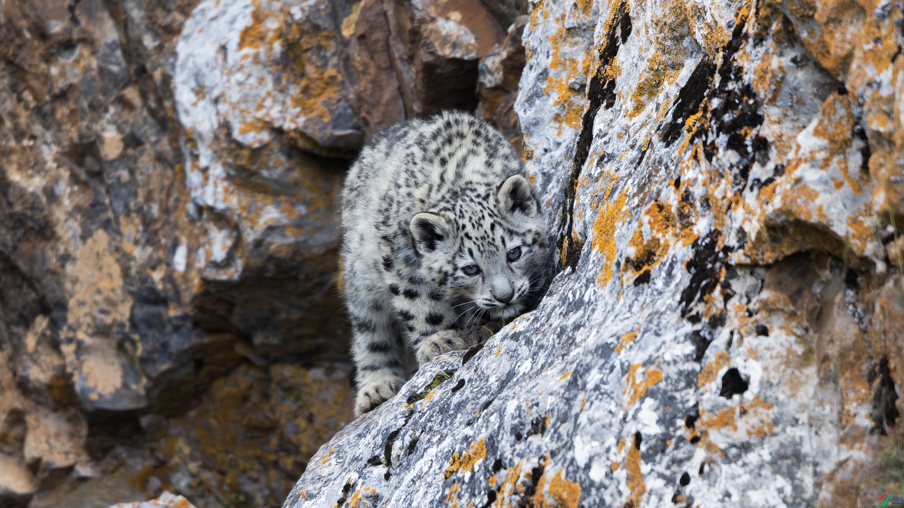 _O7A6685-NR 4444.jpg