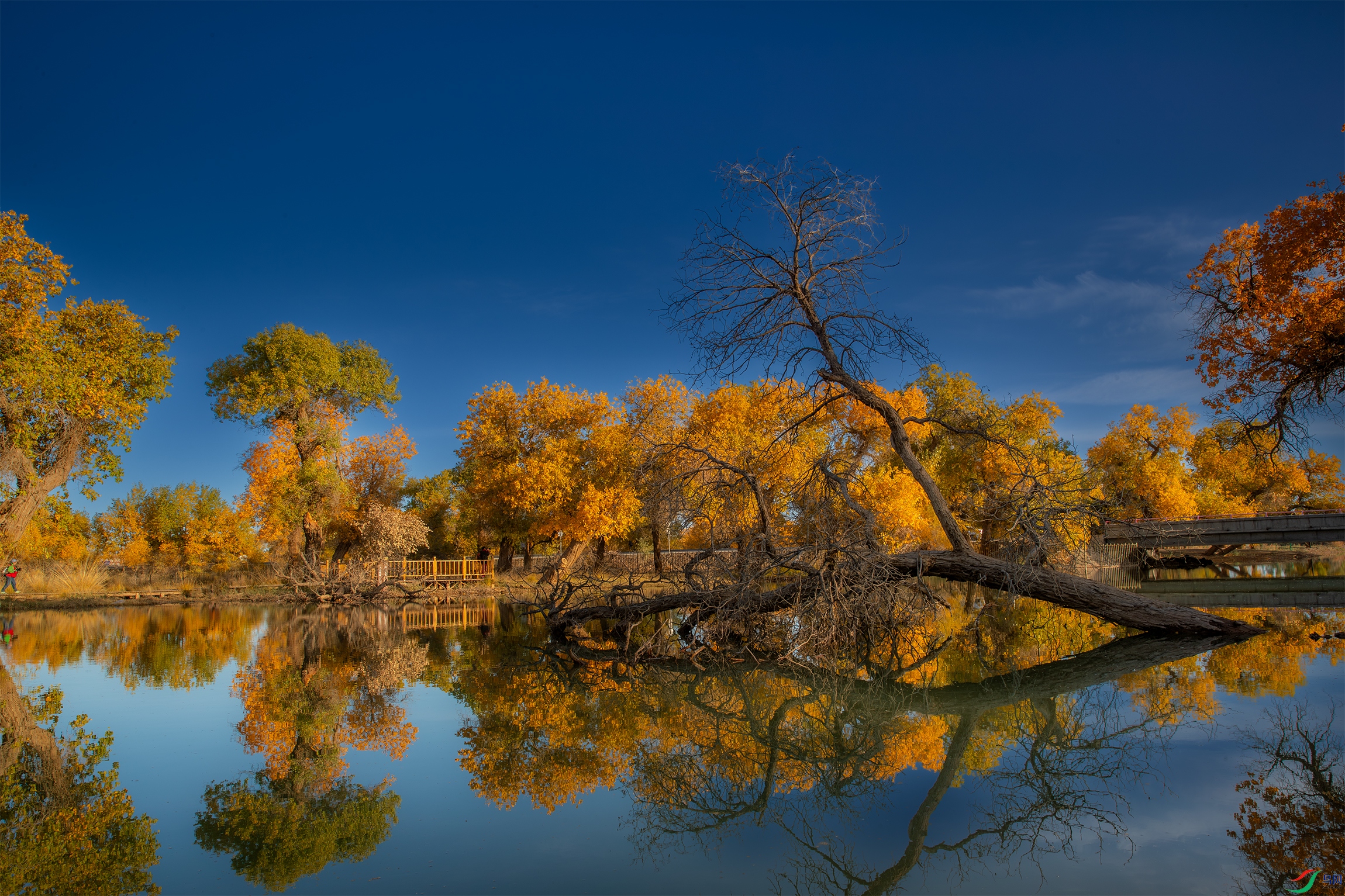 AY8I0136 ����.jpg