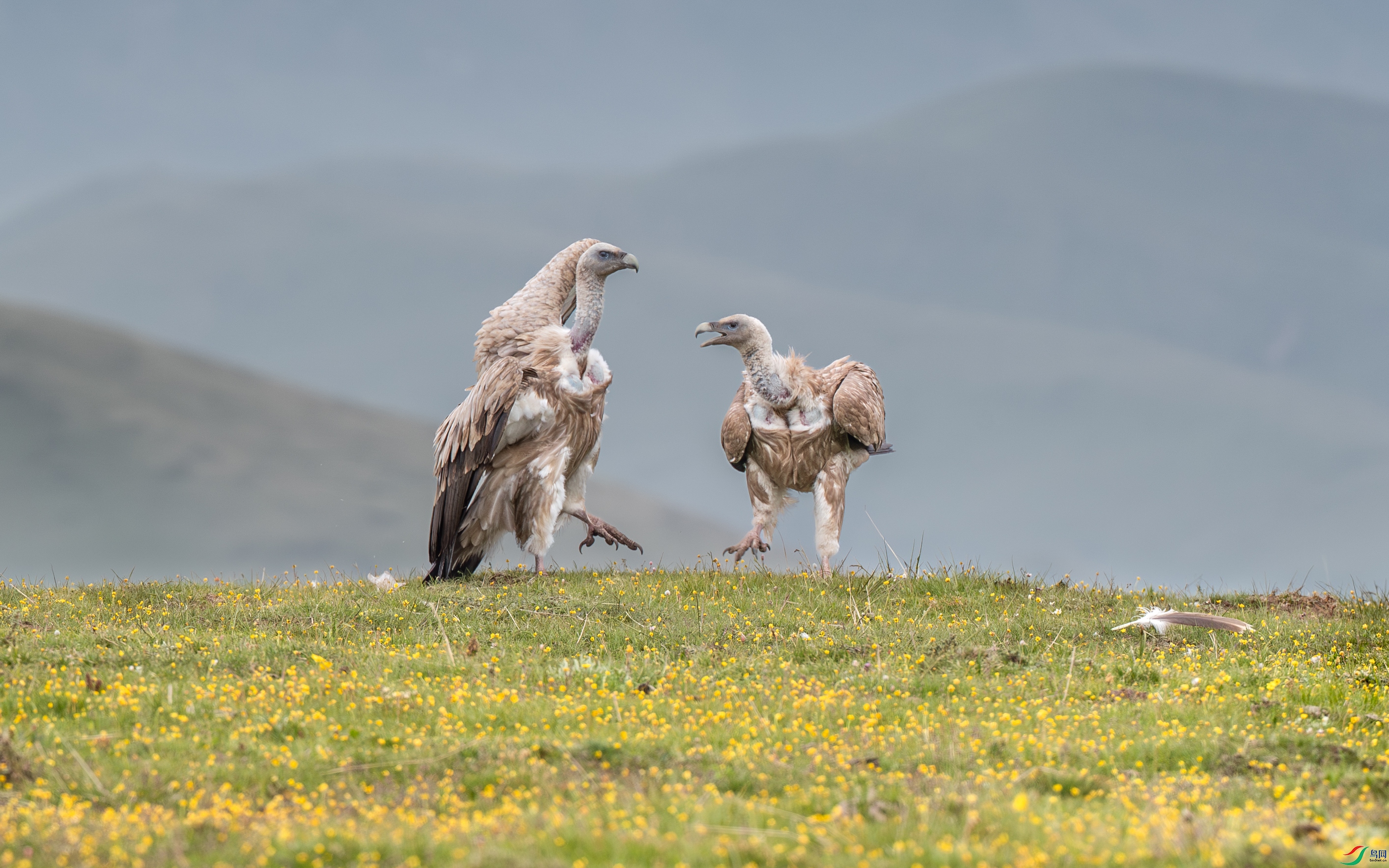 AY8I1013 ����.jpg