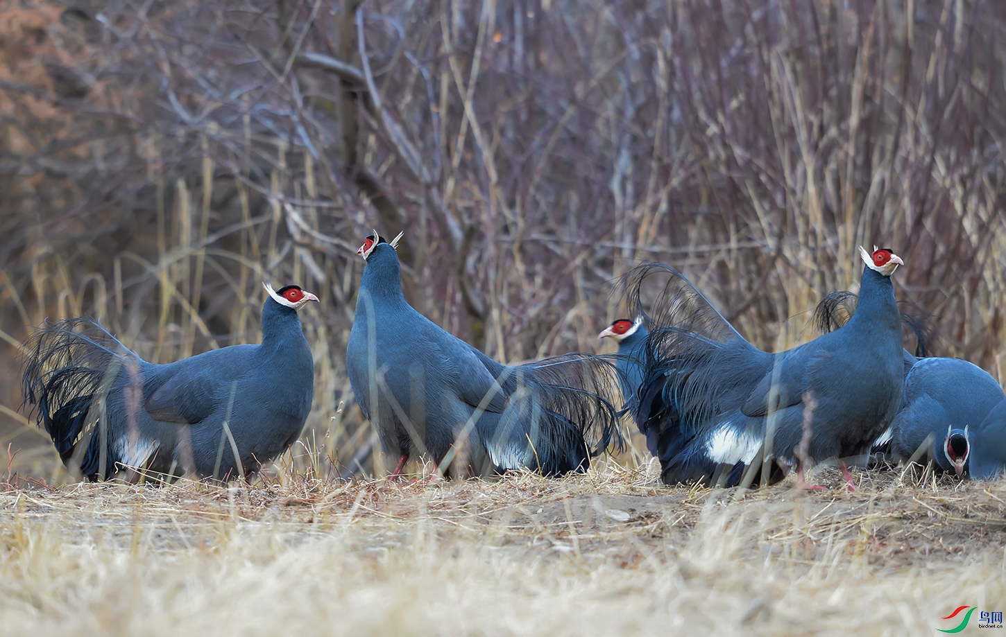 DSC_0275.jpg