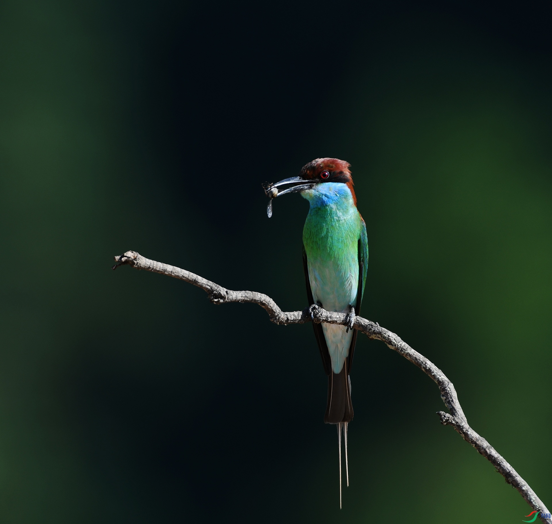 DSC_4789.jpg
