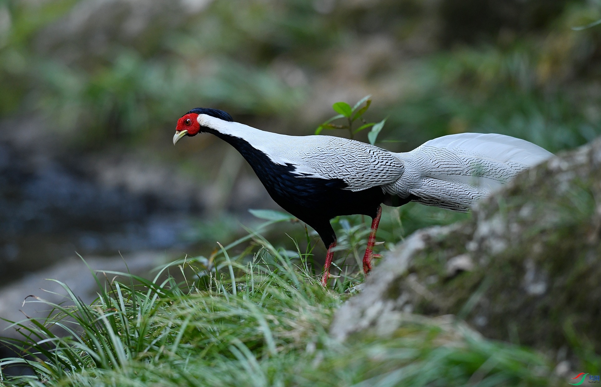 DSC_5346.jpg