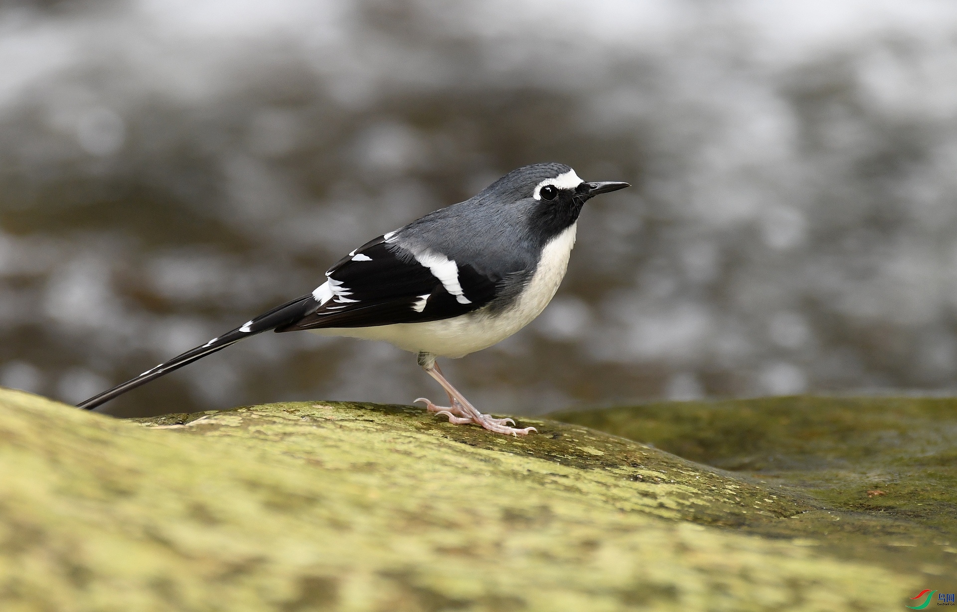 DSC_7542.jpg