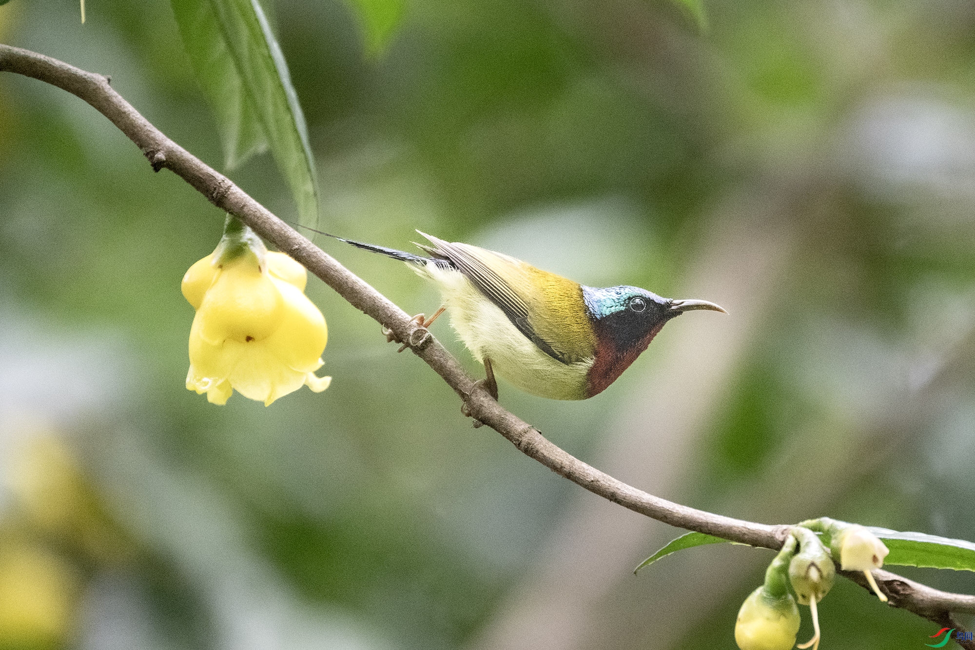 DSC_8252.jpg