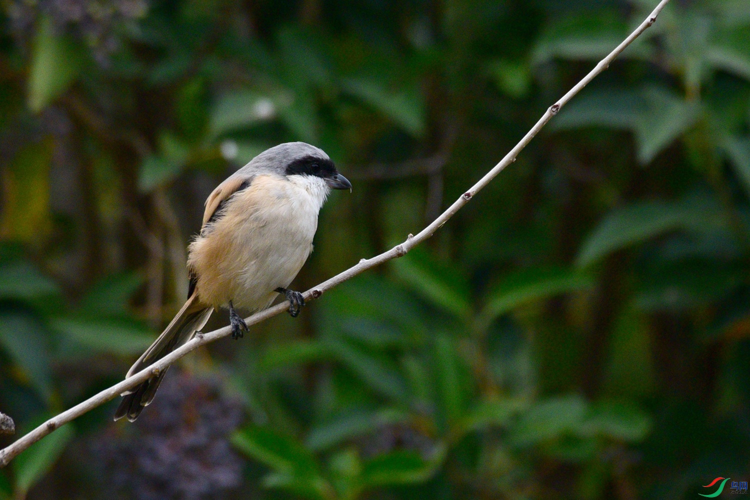 DSC_3559.JPG