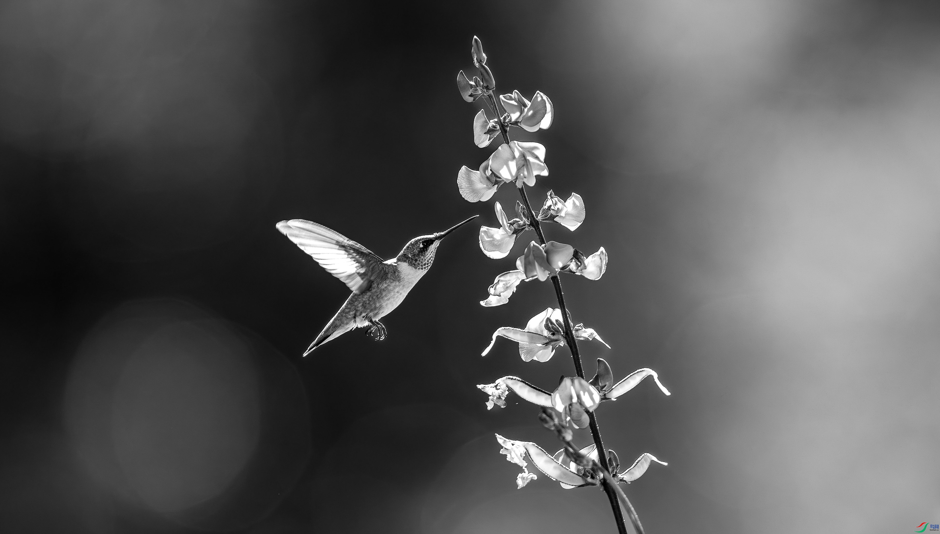 412A1257-1-2_����=00.jpg