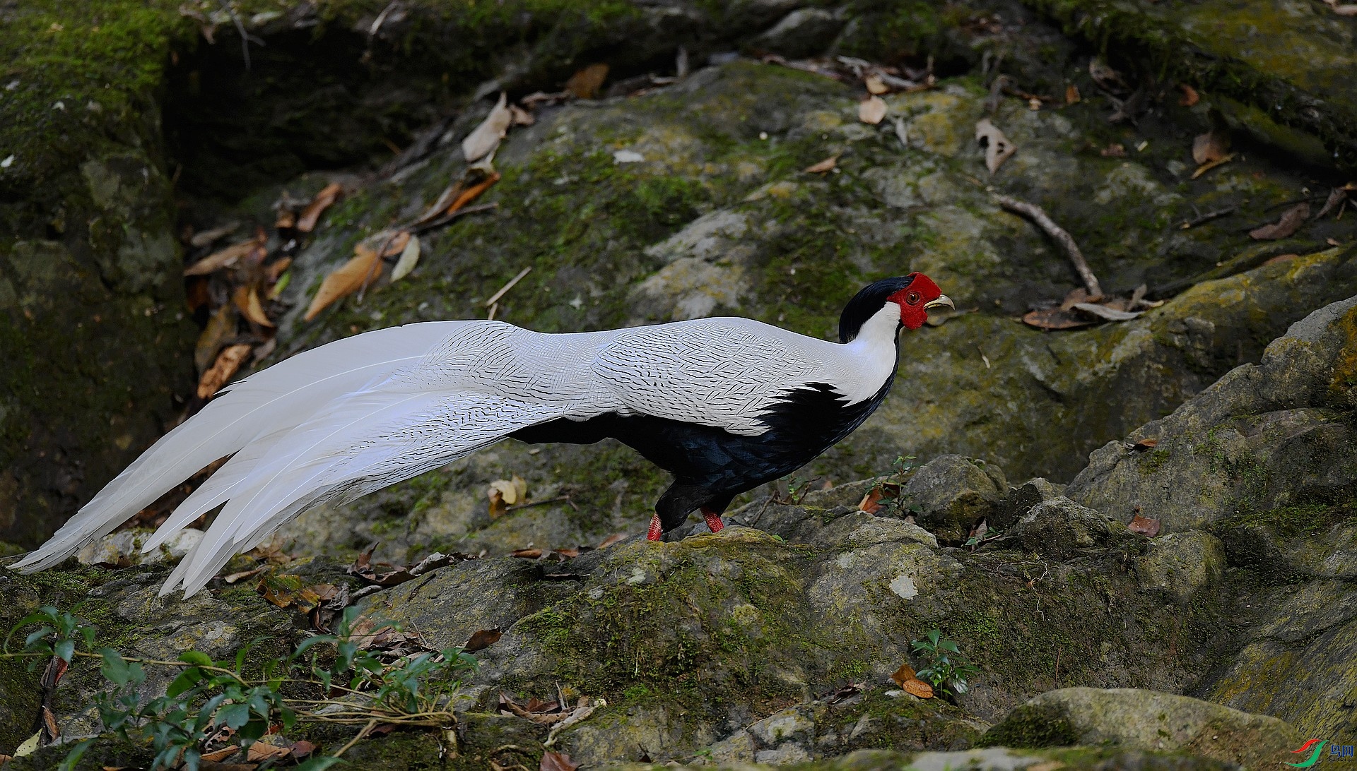 DSC_6869.jpg