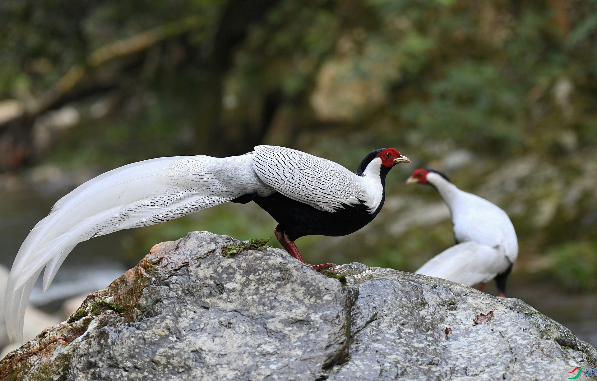 DSC_6793.jpg