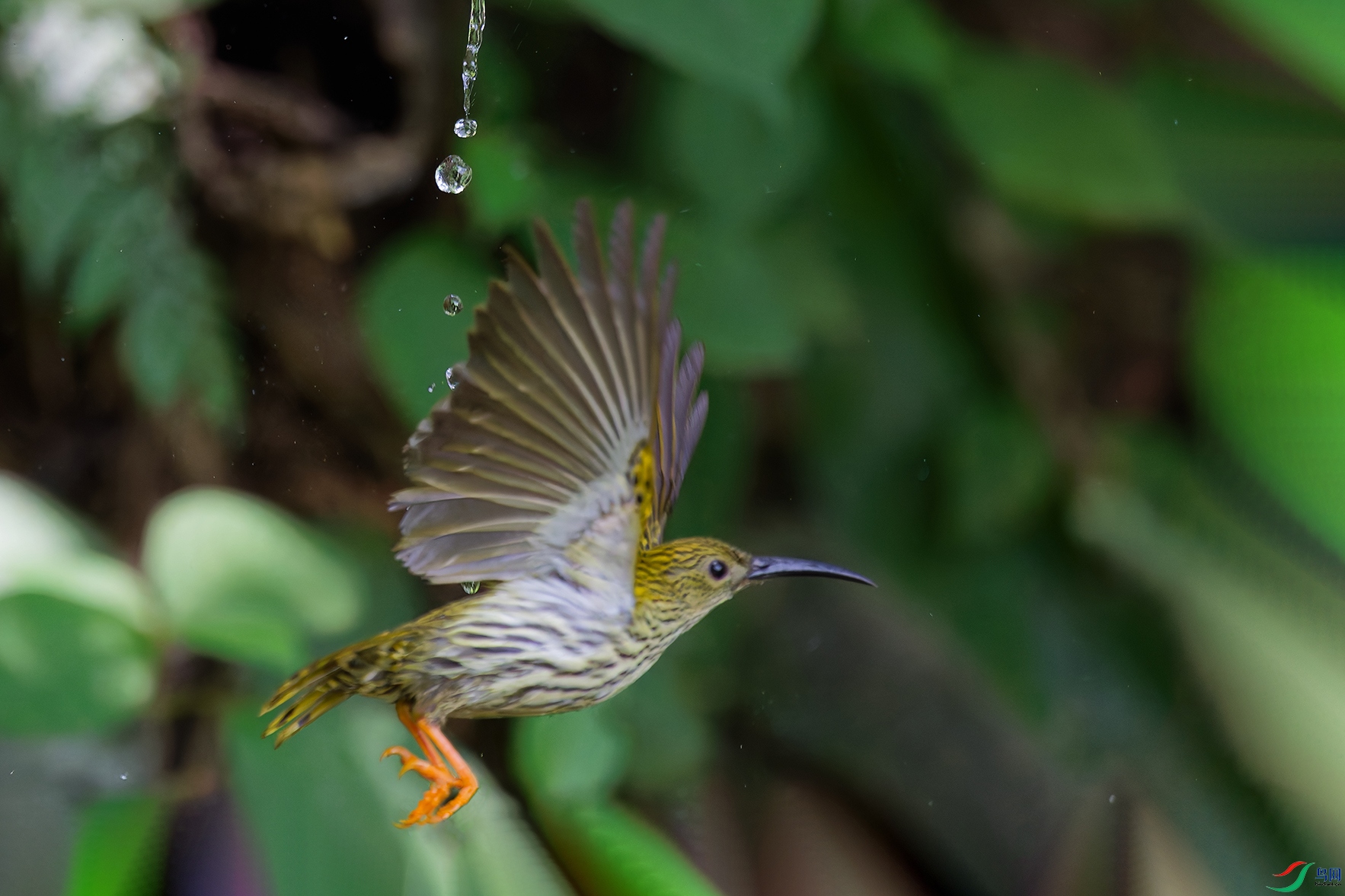 DSC_0687_DxO_DxOaa.jpg