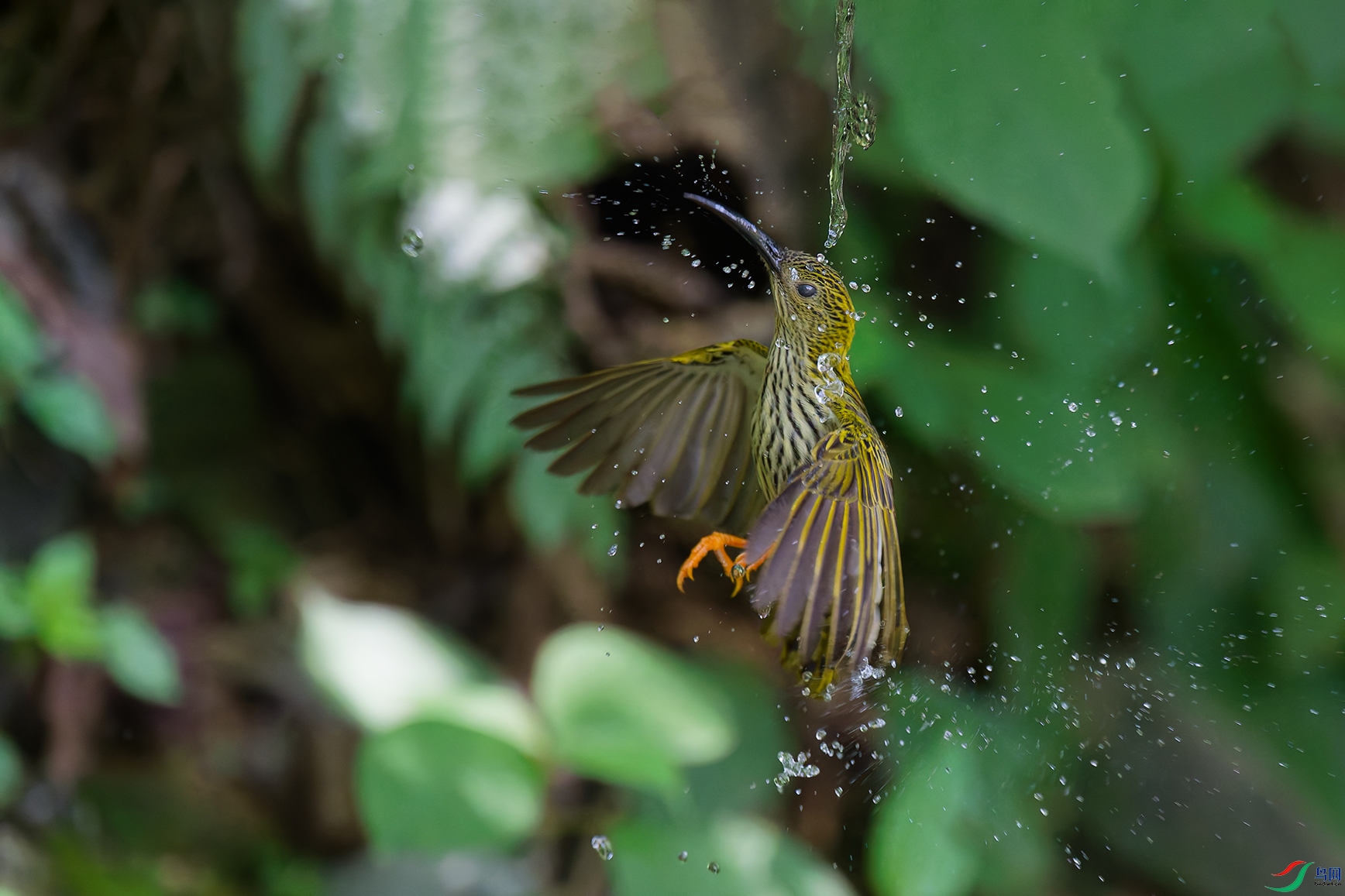 DSC_0670_DxO_DxOaa.jpg