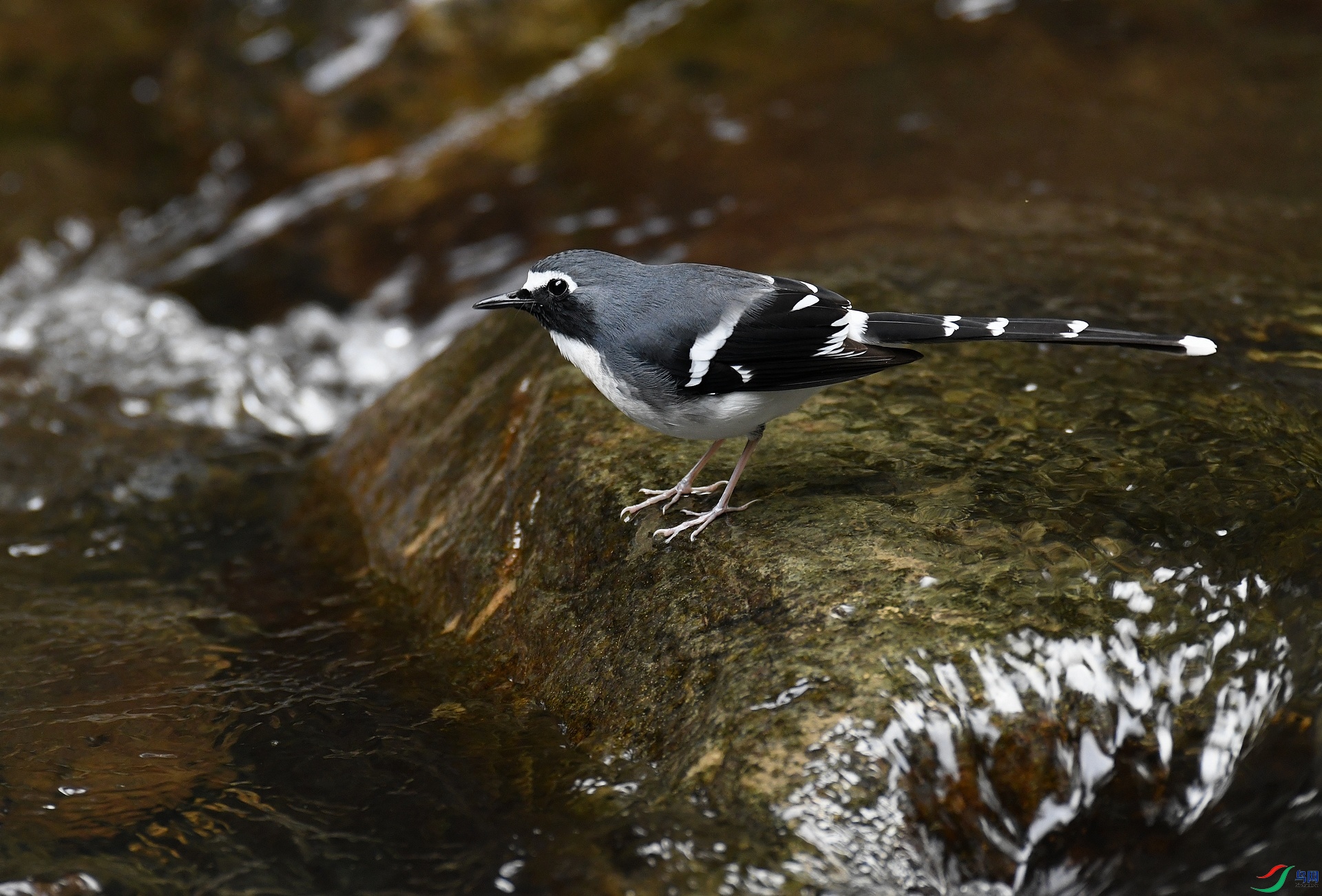 DSC_7914.jpg