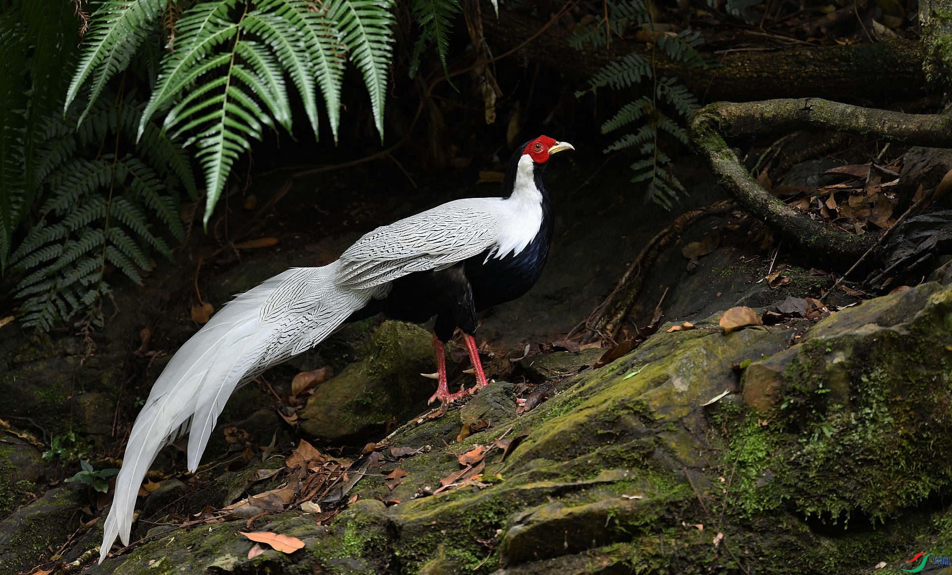 DSC_7663.jpg