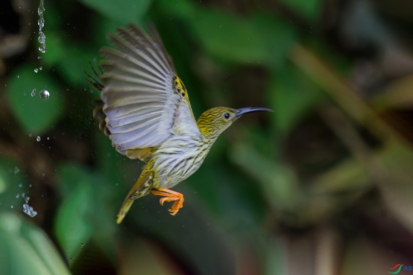 DSC_0662_DxO_DxOaa.jpg