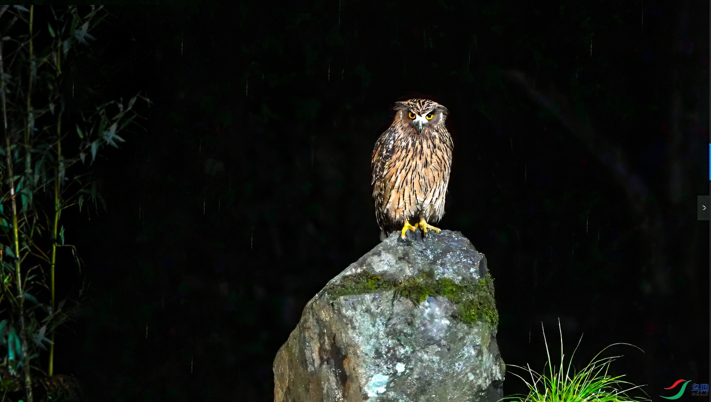 ΢��ͼƬ_20250703204343 ���� ��.jpg