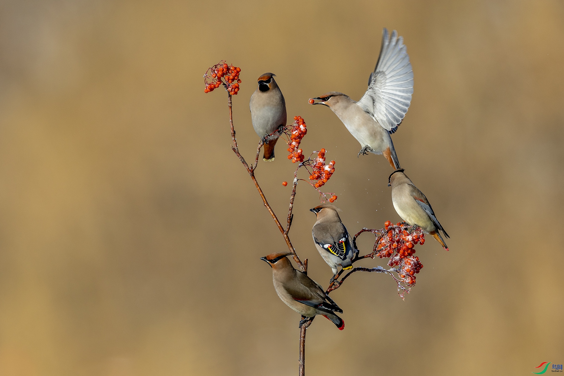 488A3031 ����.jpg