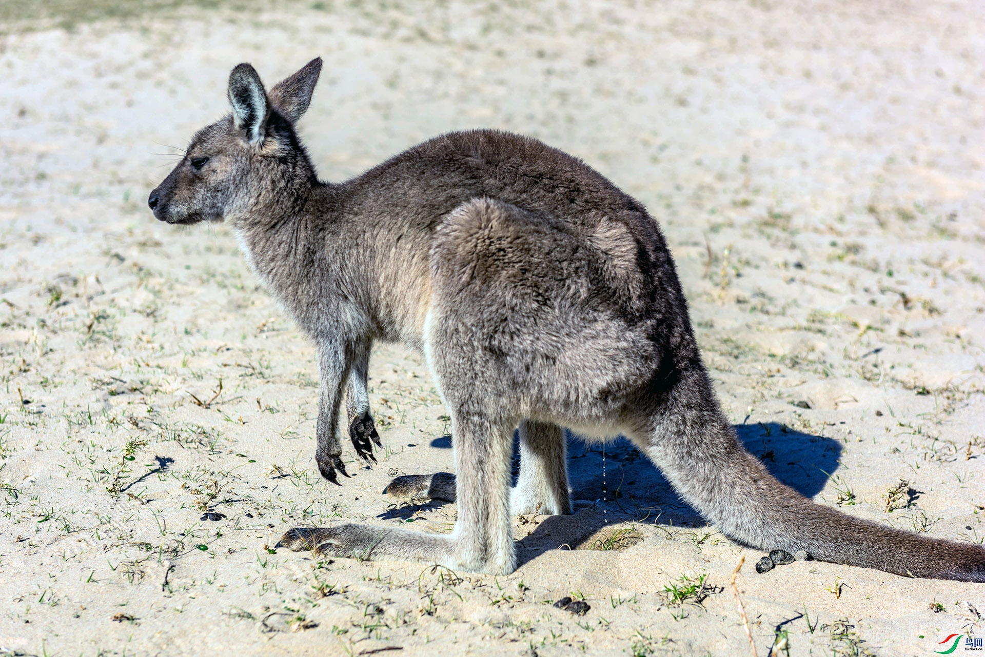 DSC_3522.jpg