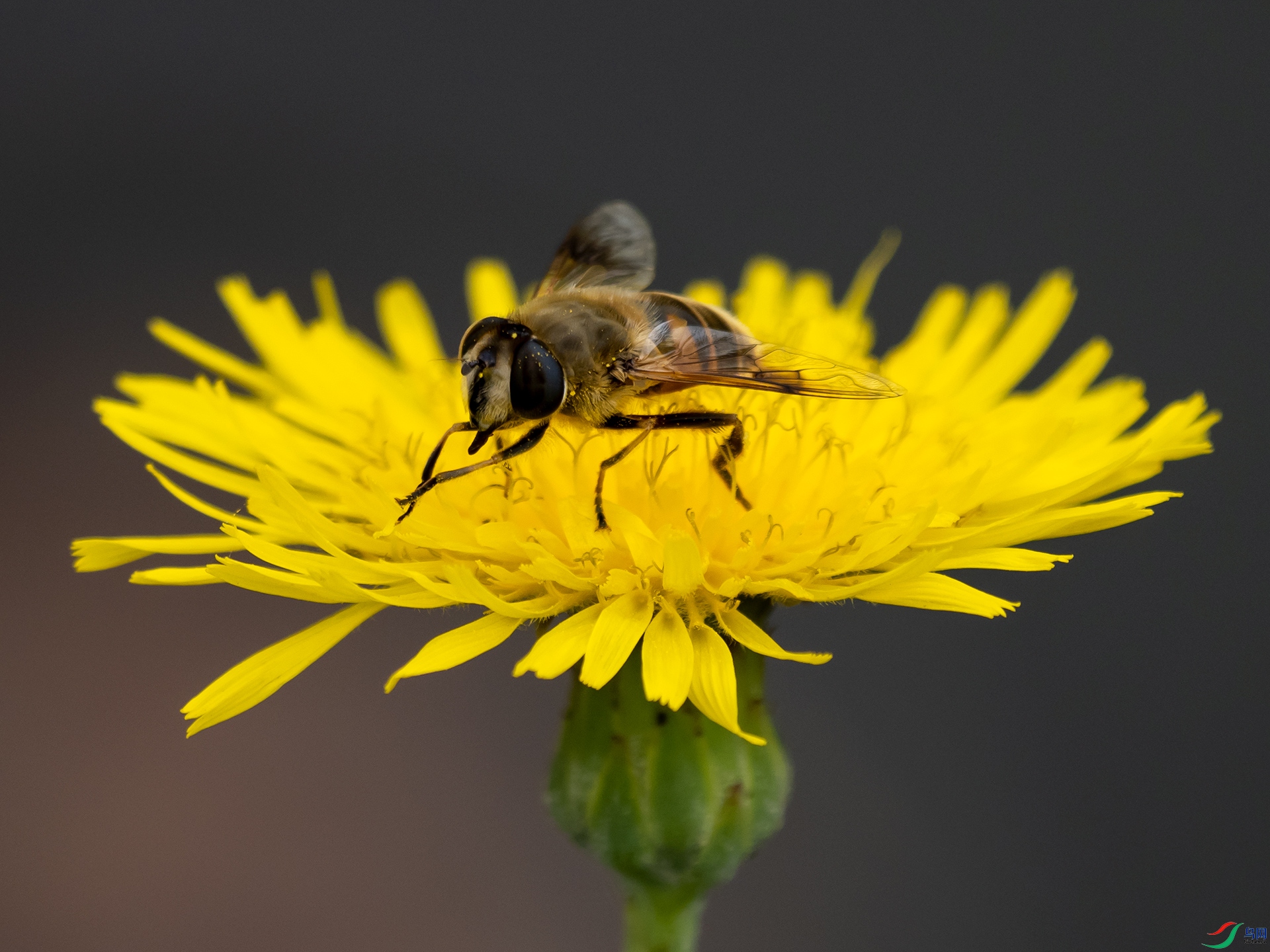 P9191650.jpg