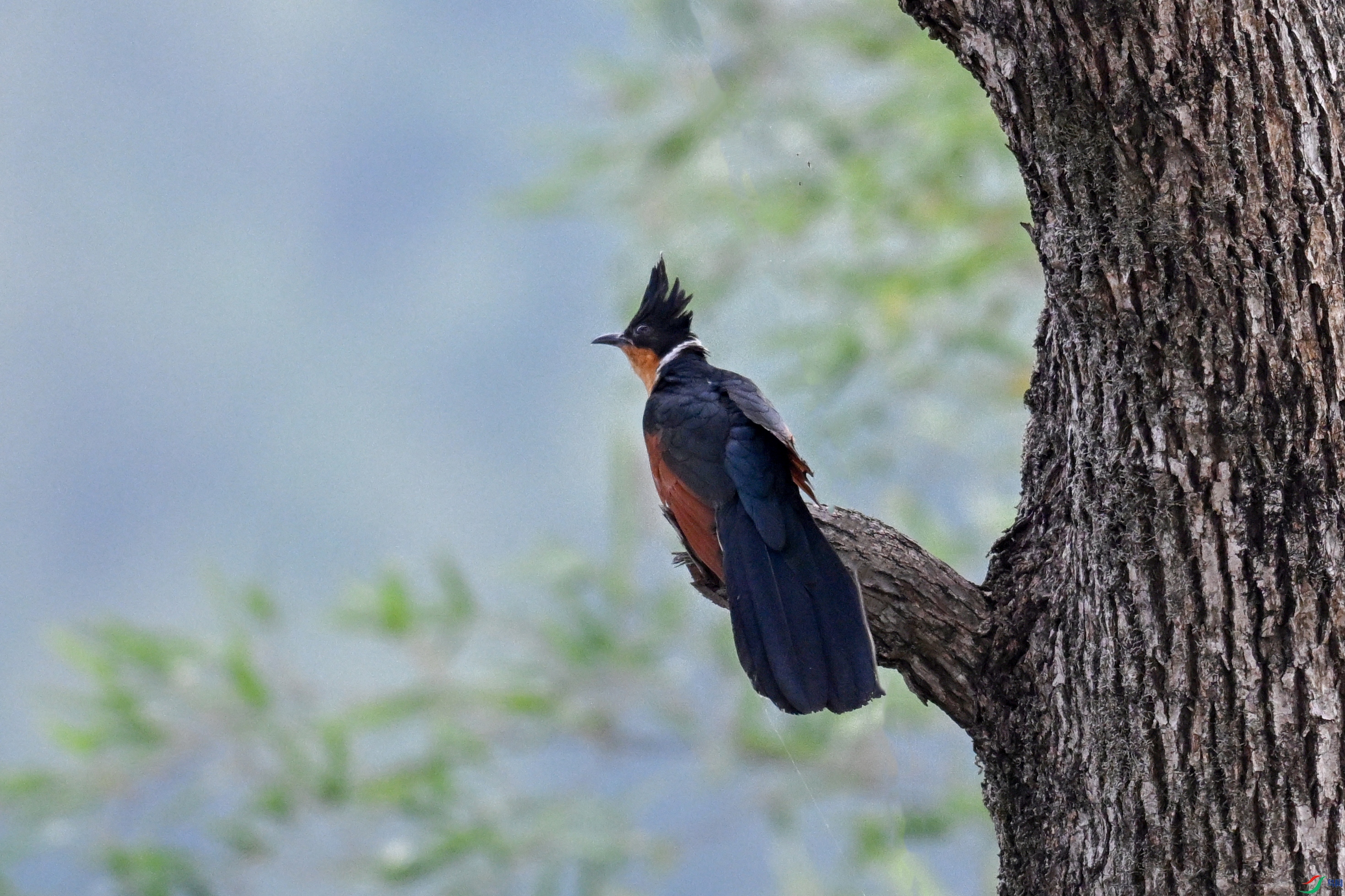 DSC_9254.JPG