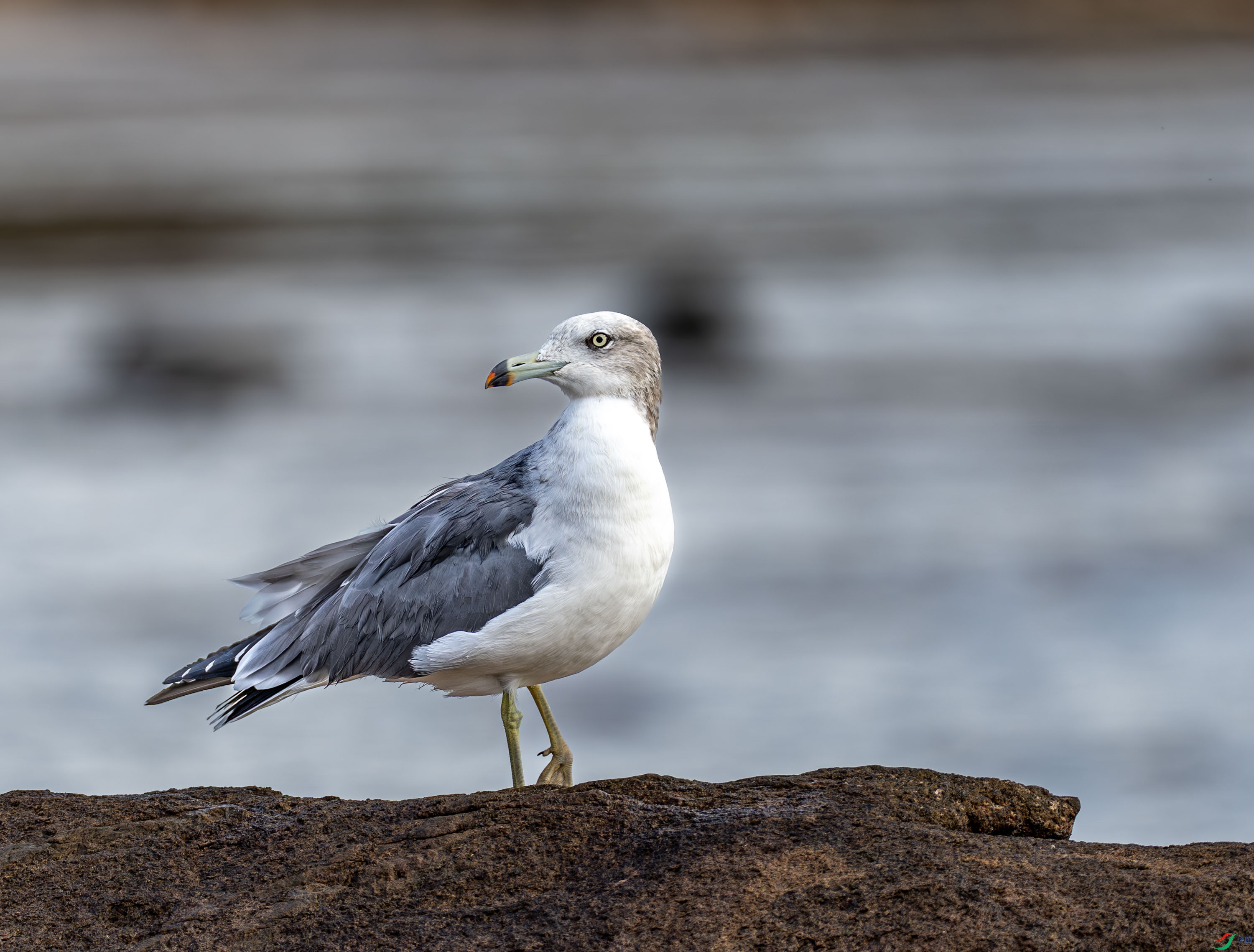 ��βŸ -02-5.jpg