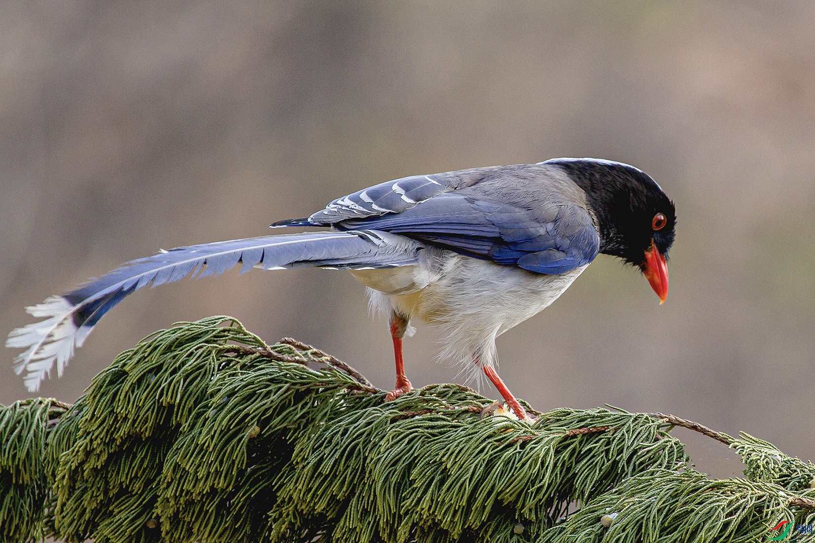 _MG_7945 ���� 2.jpg