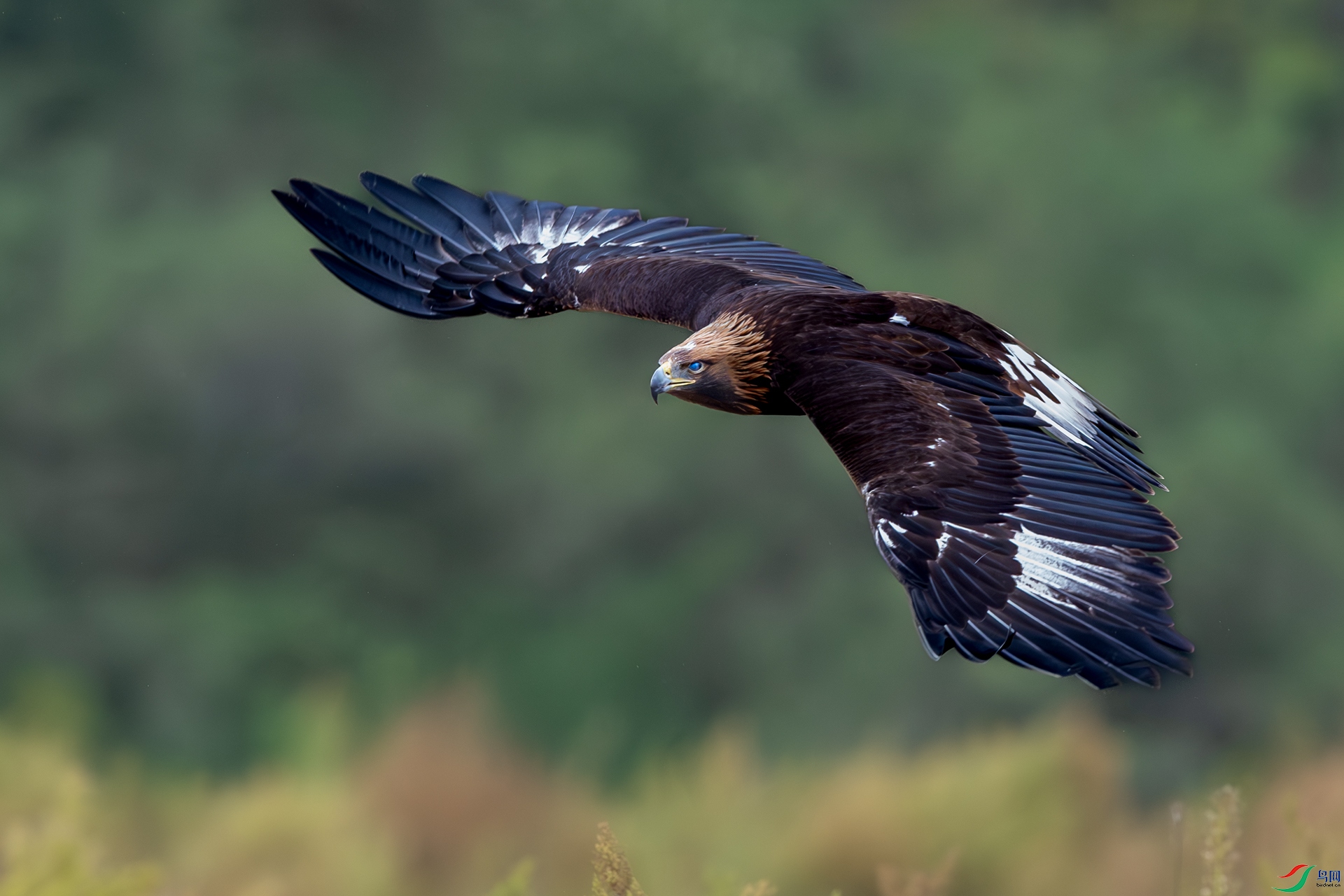_DSC3151-2.jpg