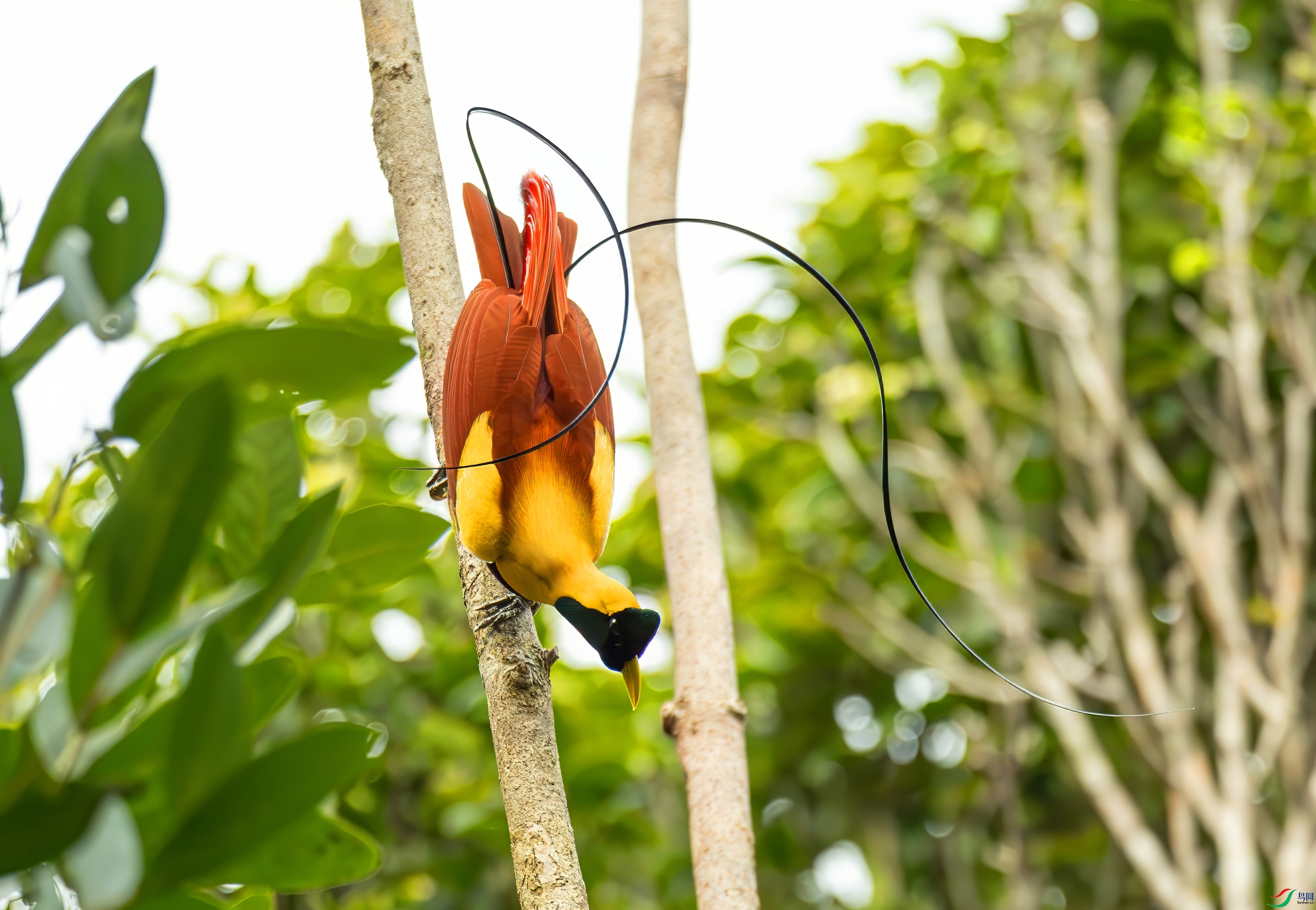 0L0A4570-topaz-denoise.jpeg