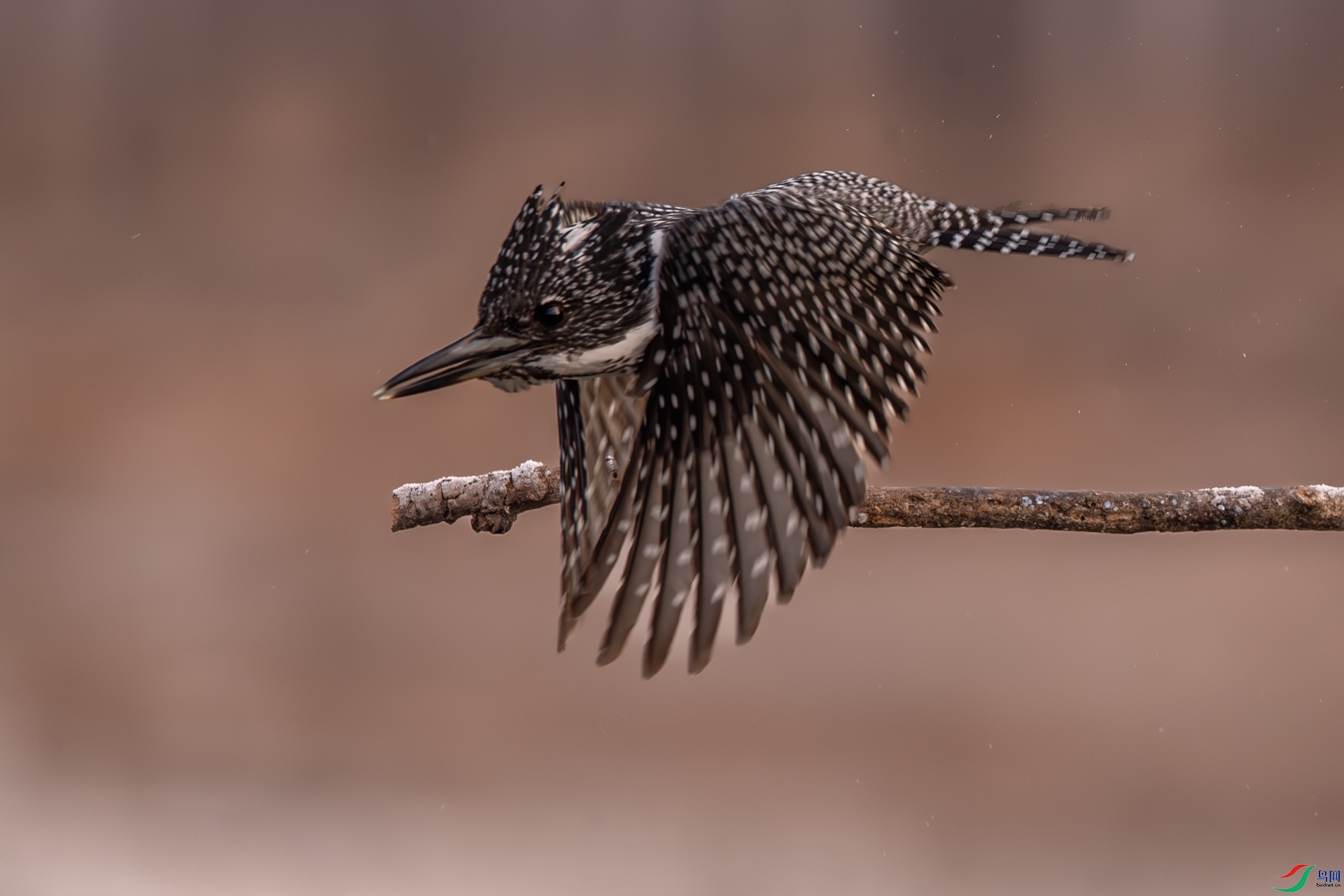 _DSC5704-2.jpg