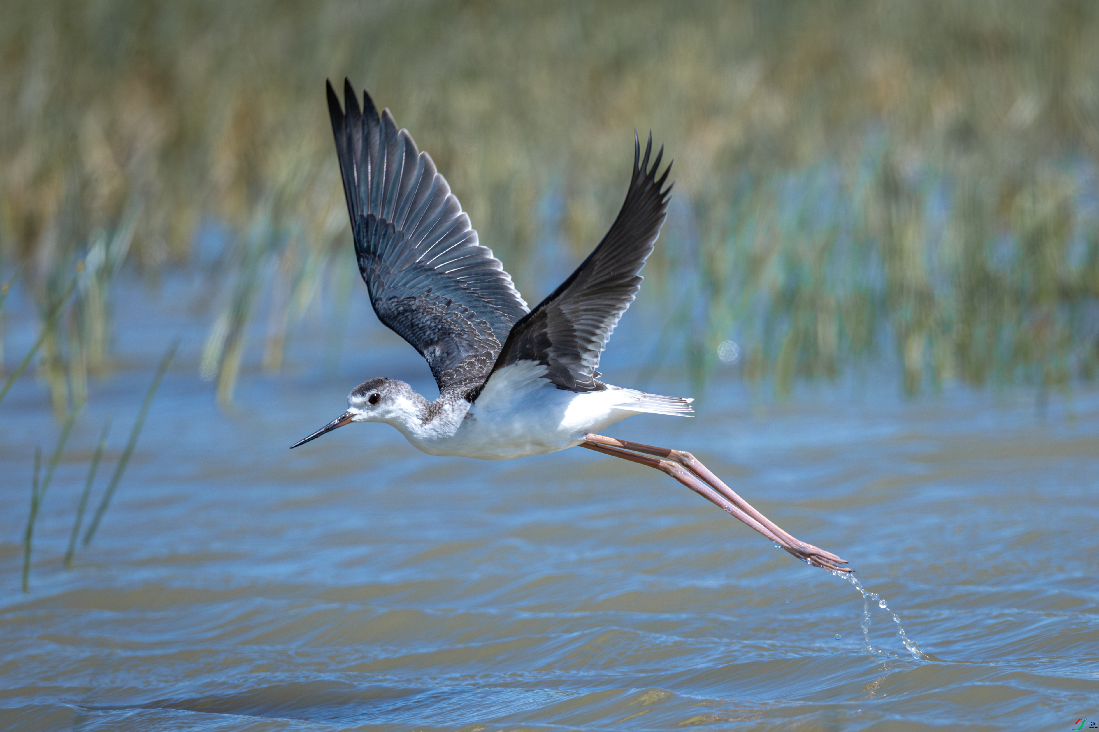 �����ˮ����¶