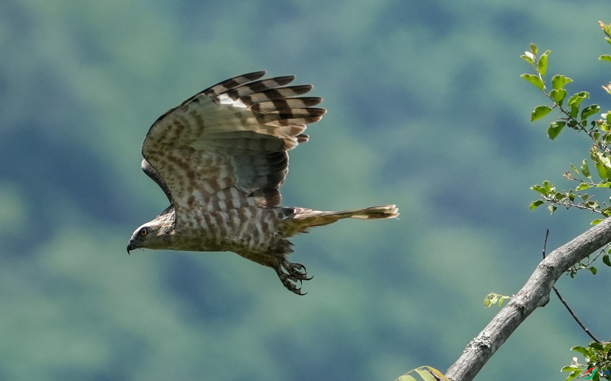 3d519550-e639-46d7-8d22-325351027e52.png