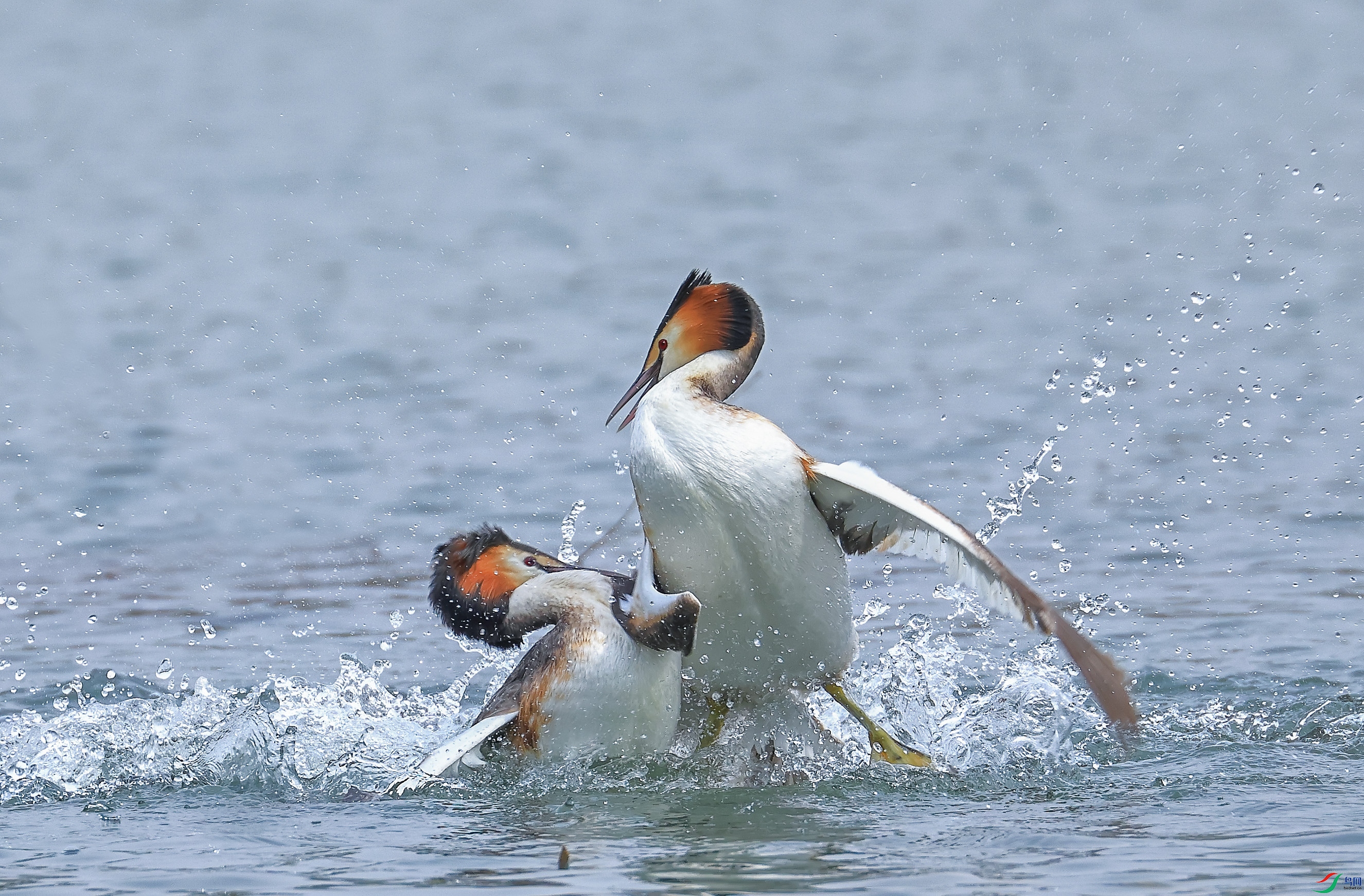 L10A0027 ����.jpg