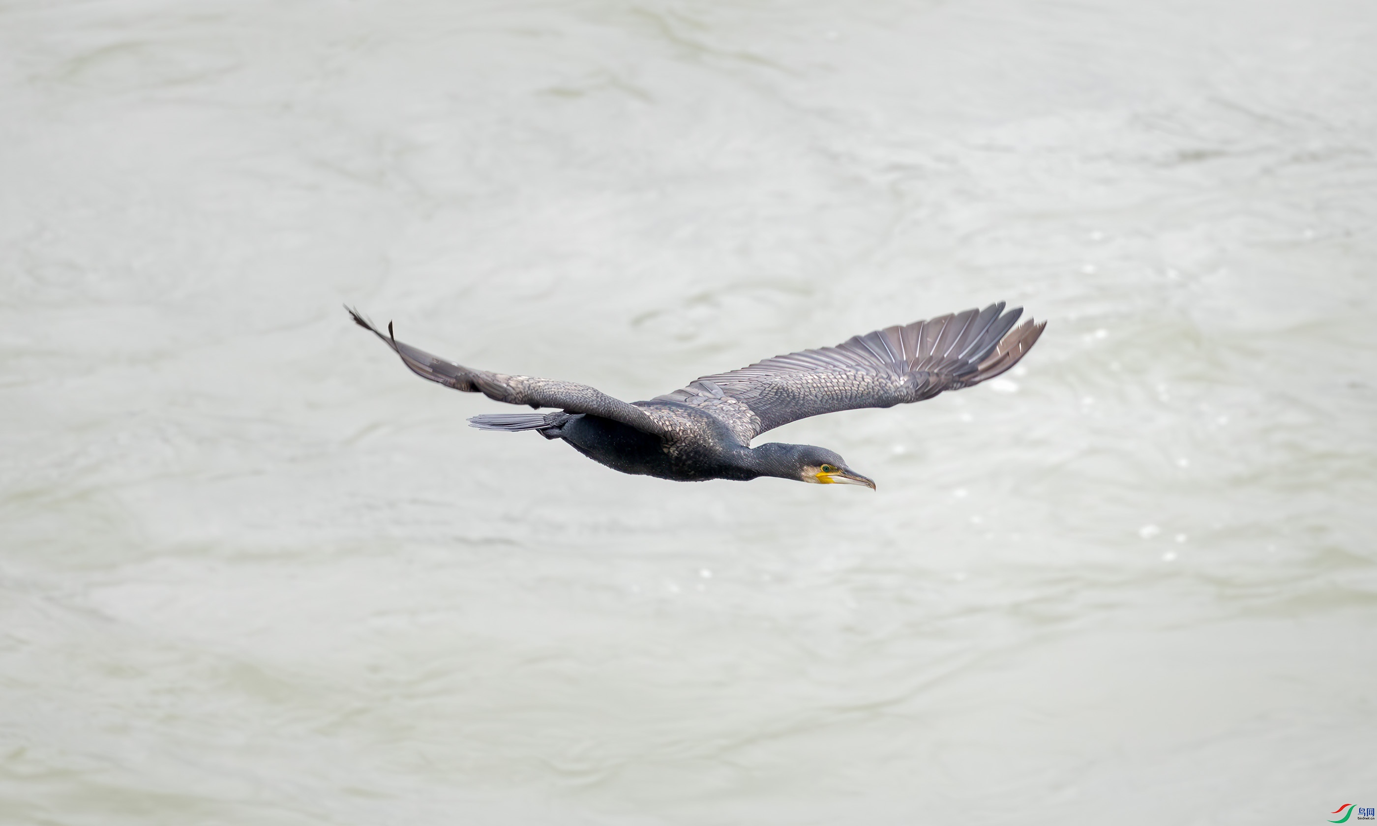 G47A5760-����ǿ-NR ����.jpg