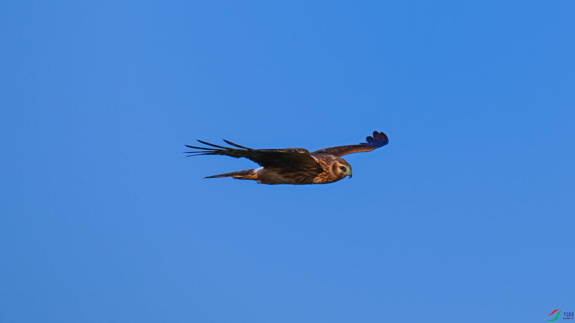 DSC_7043_��ͼ��.jpg