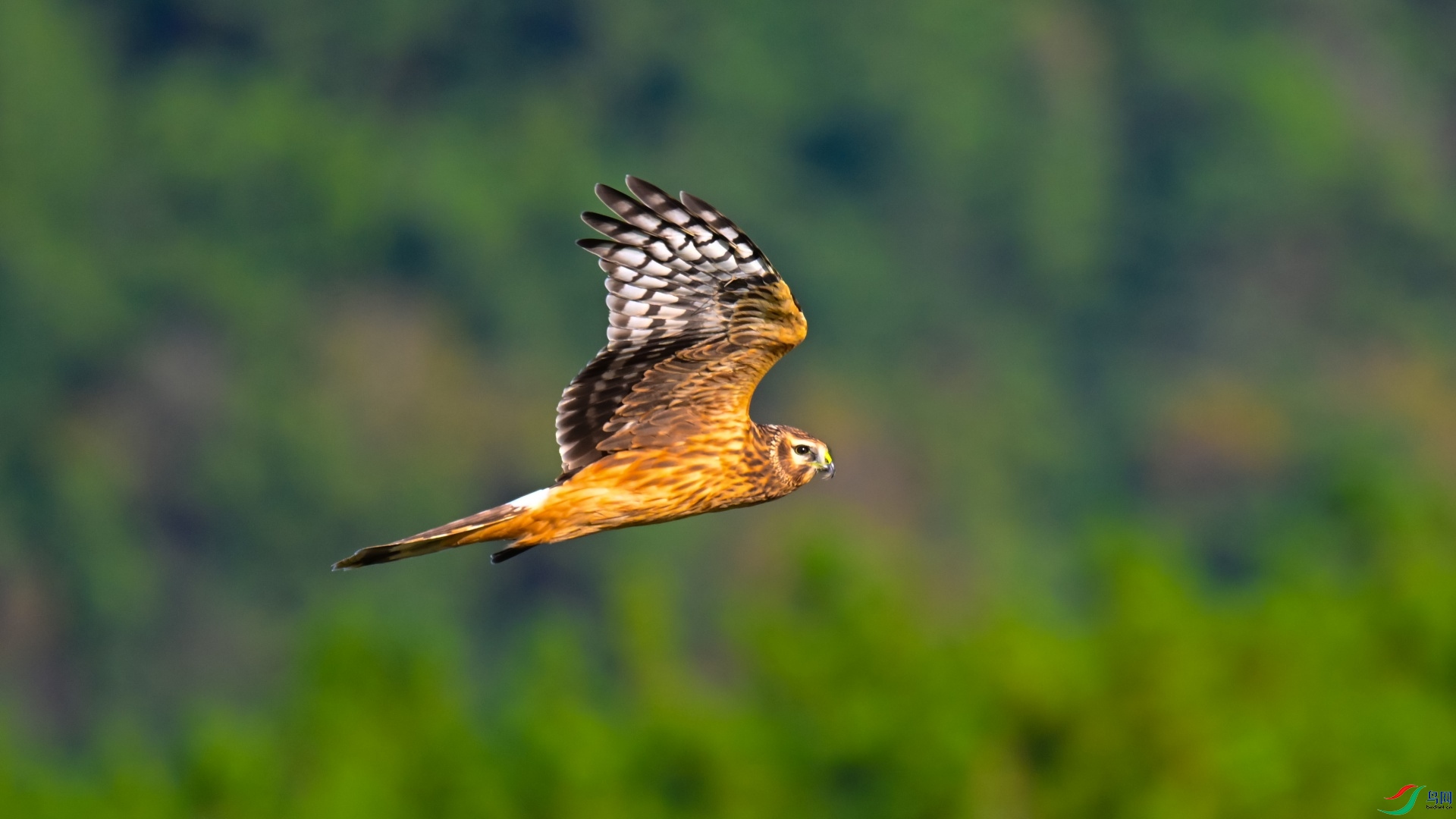 DSC_7152_��ͼ��.jpg